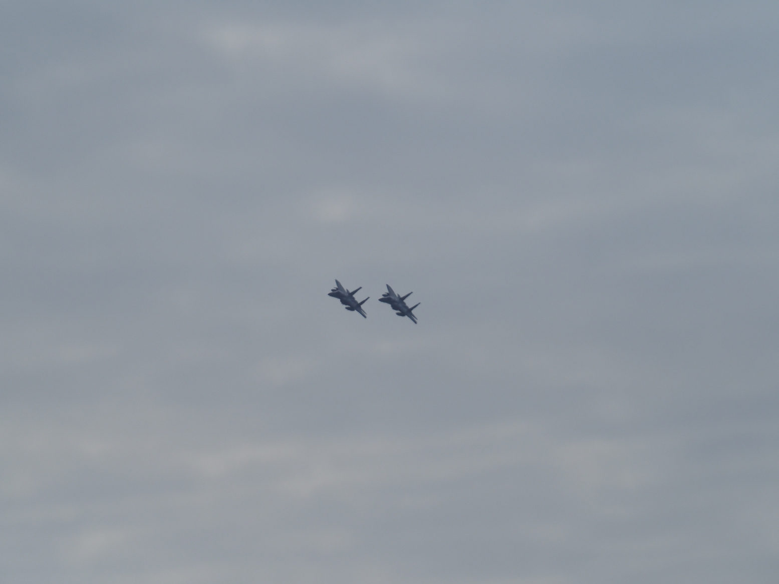 PC090548.jpg