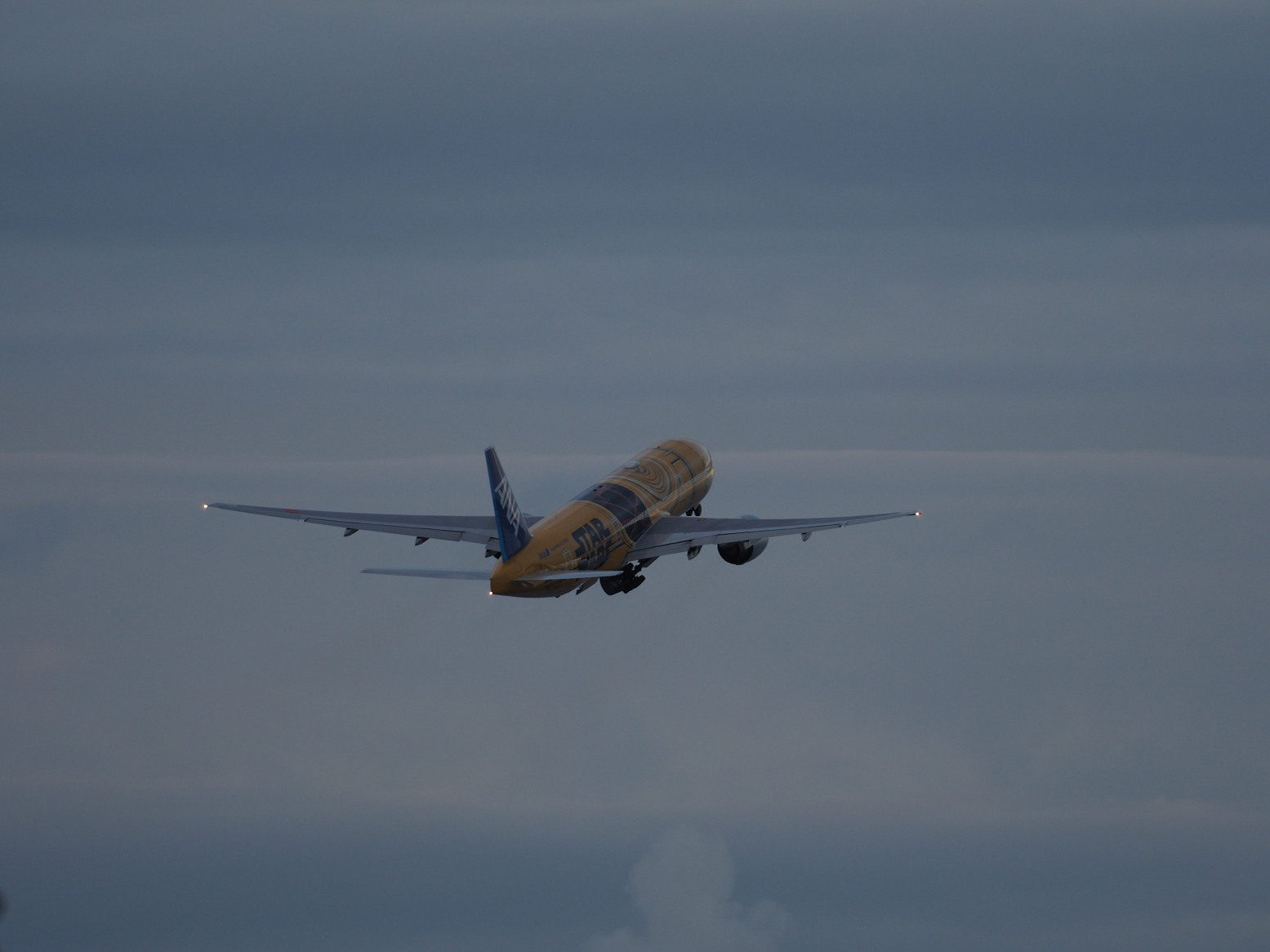 PC093666.jpg