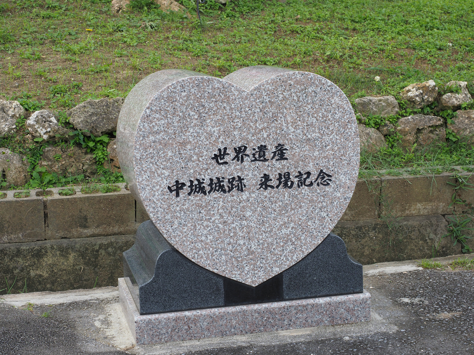 PC100022.jpg