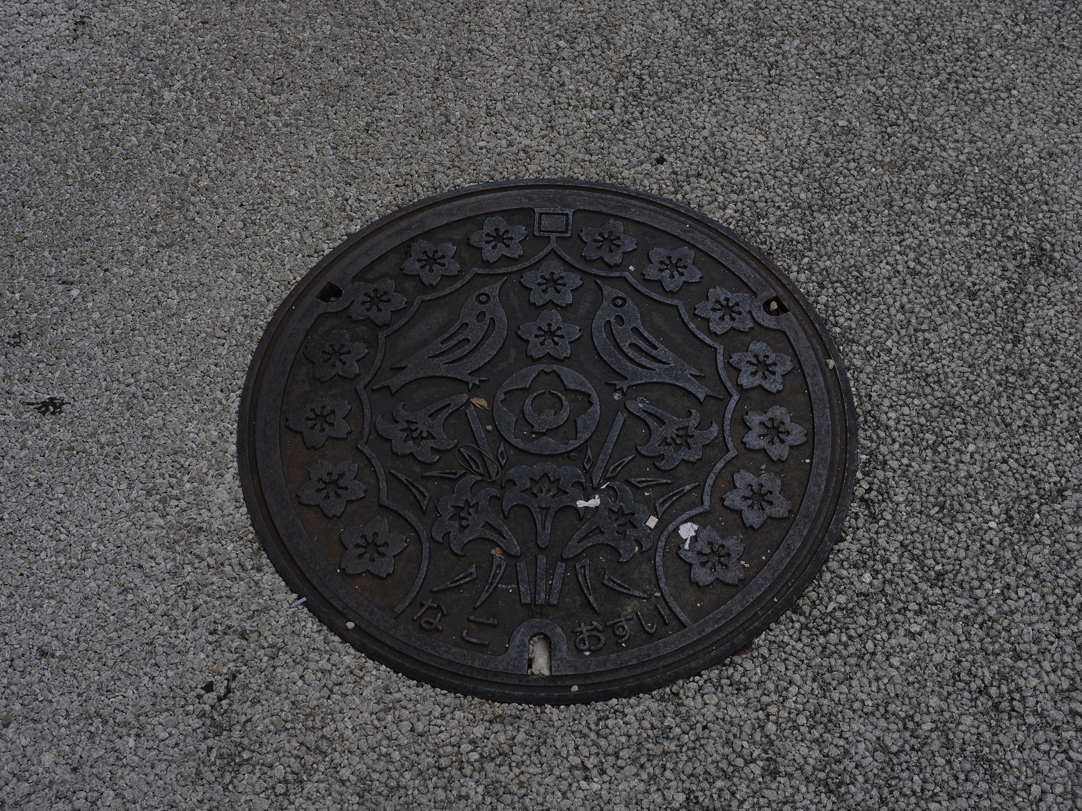 PC100151.jpg