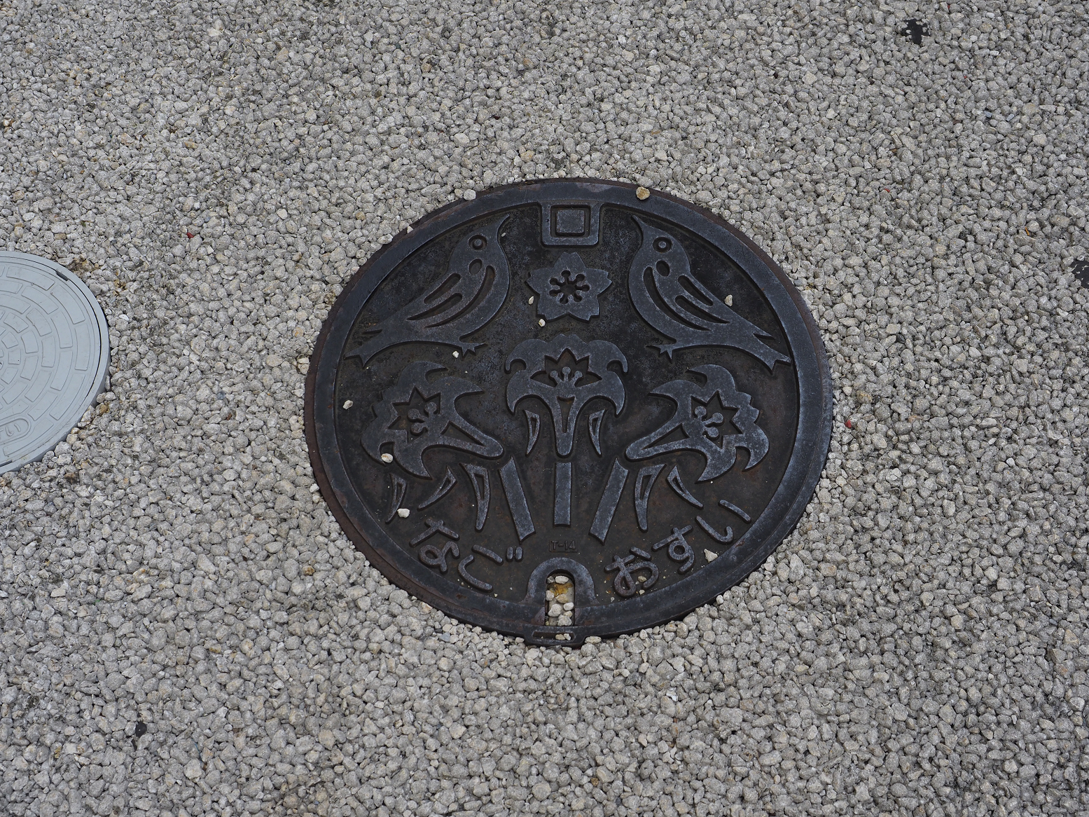 PC100152.jpg