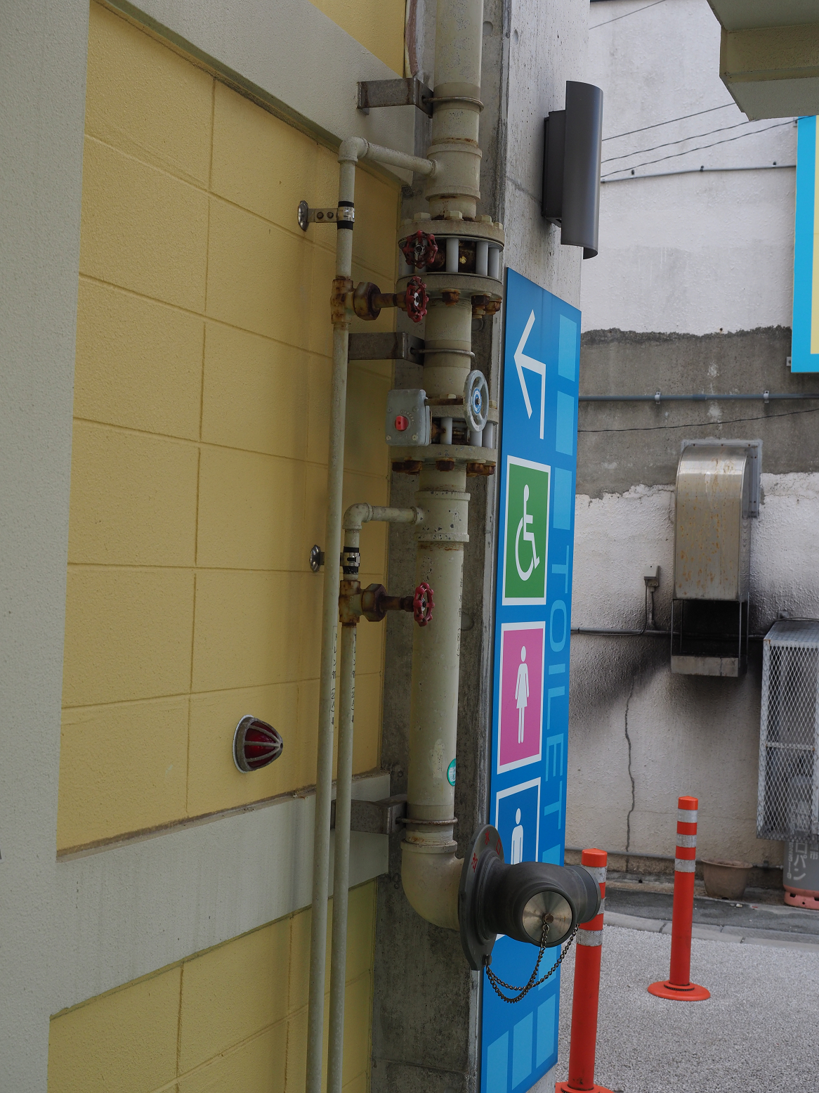 PC100160.jpg