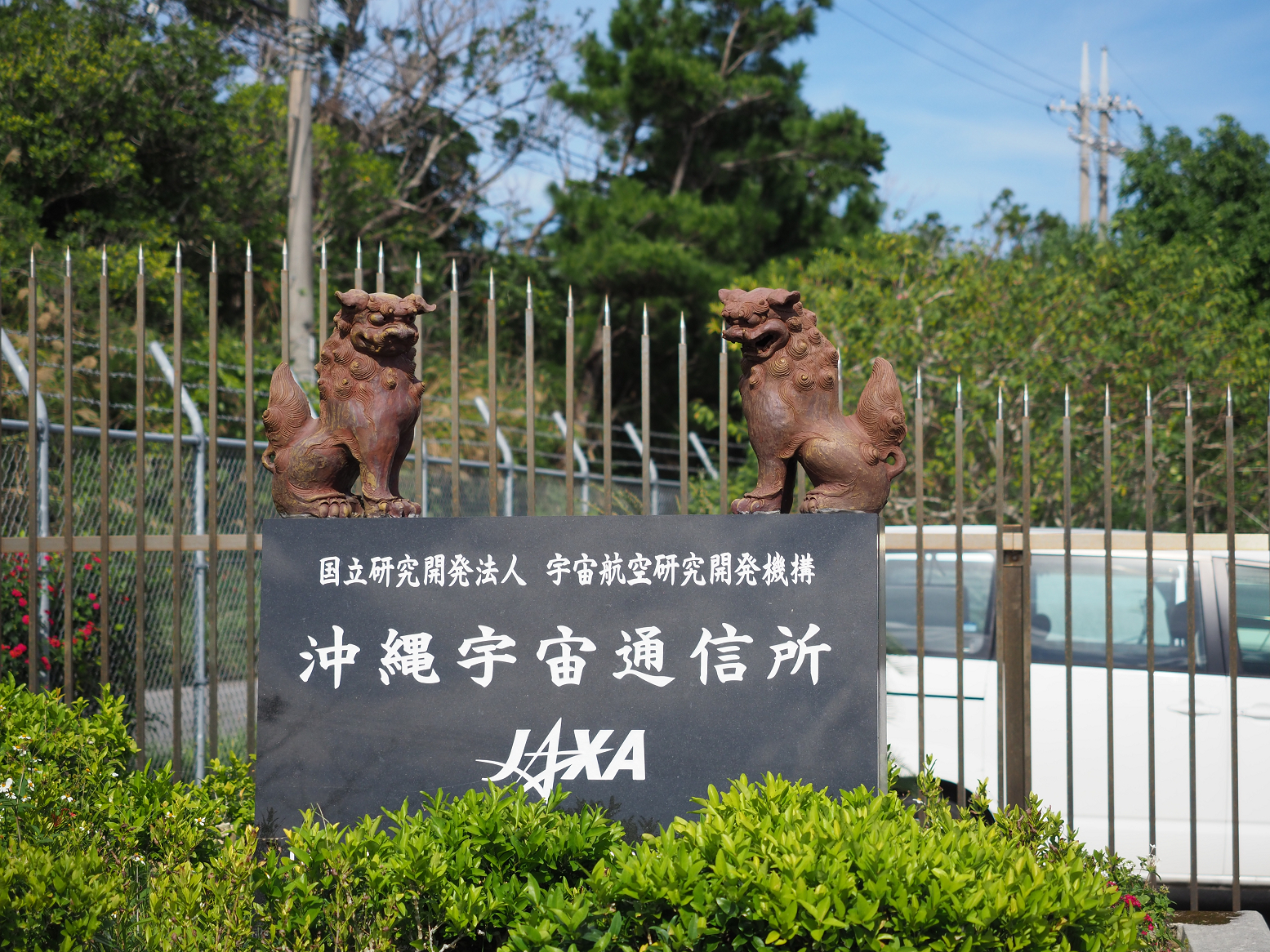 PC100239.jpg