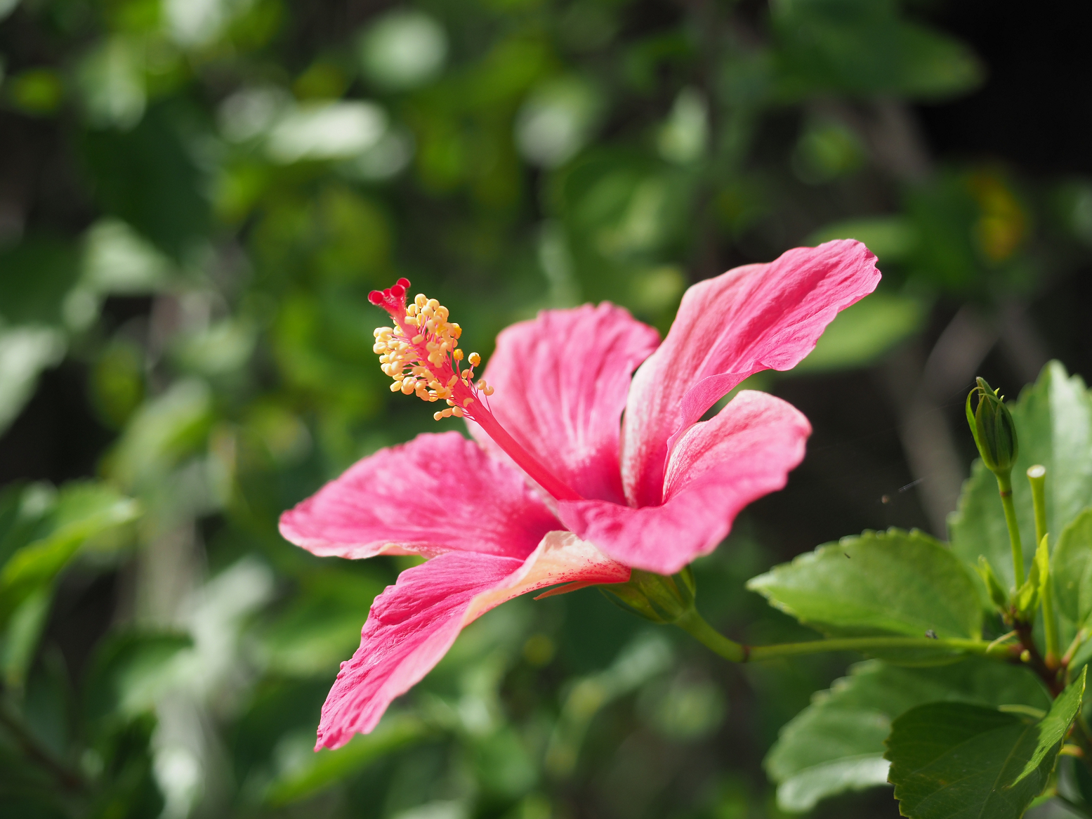 PC100248.jpg