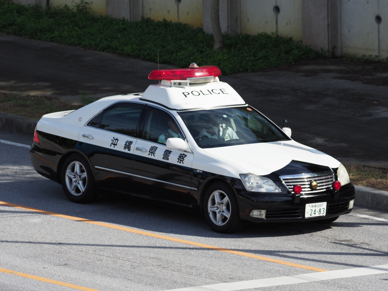 PC100293.jpg