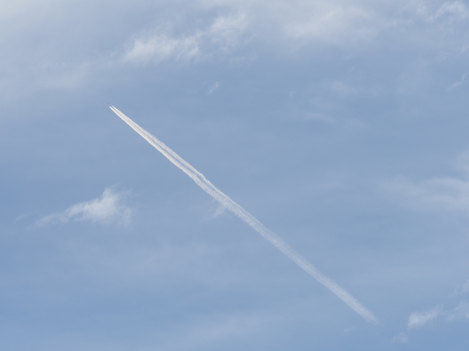 PC100332.jpg