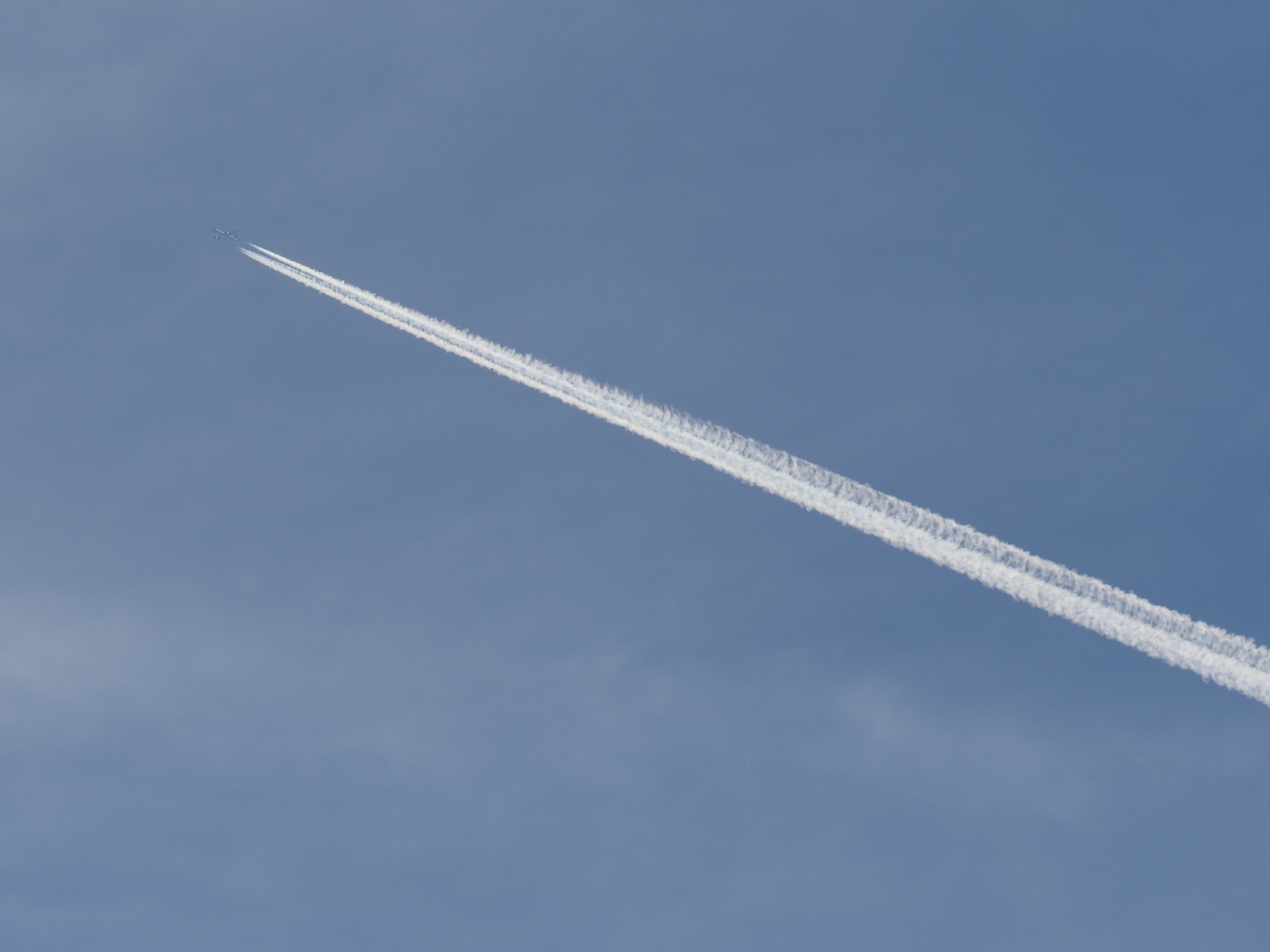 PC100340.jpg