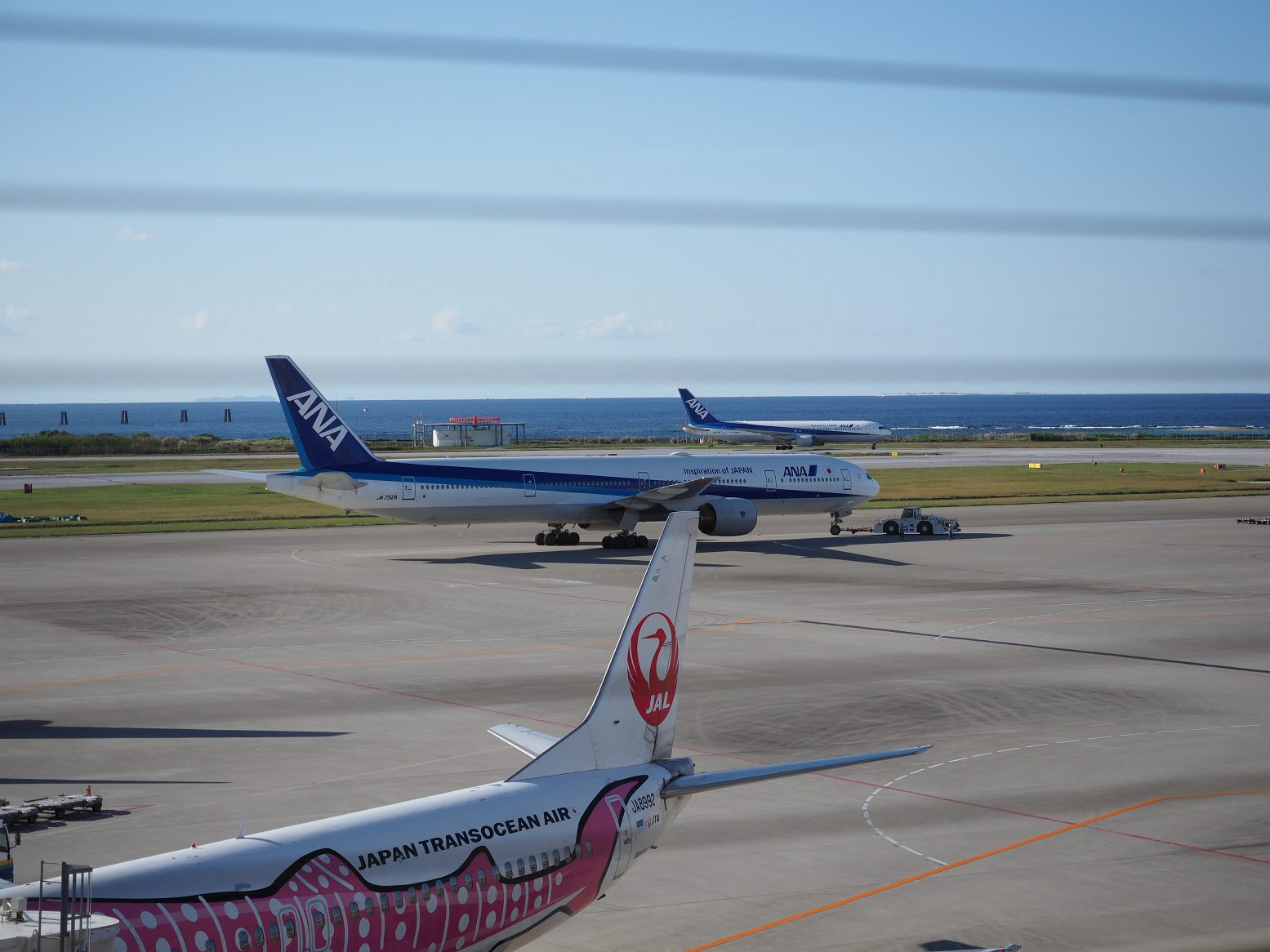 PC100354.jpg