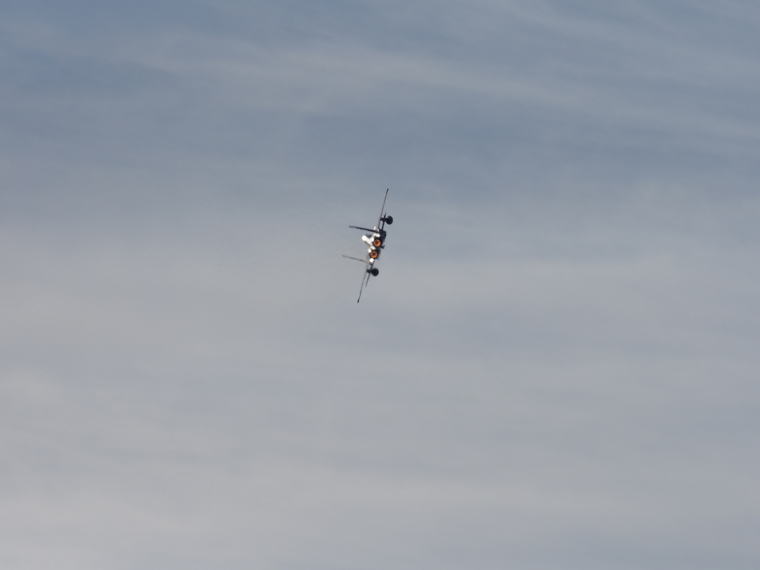 PC100375.jpg