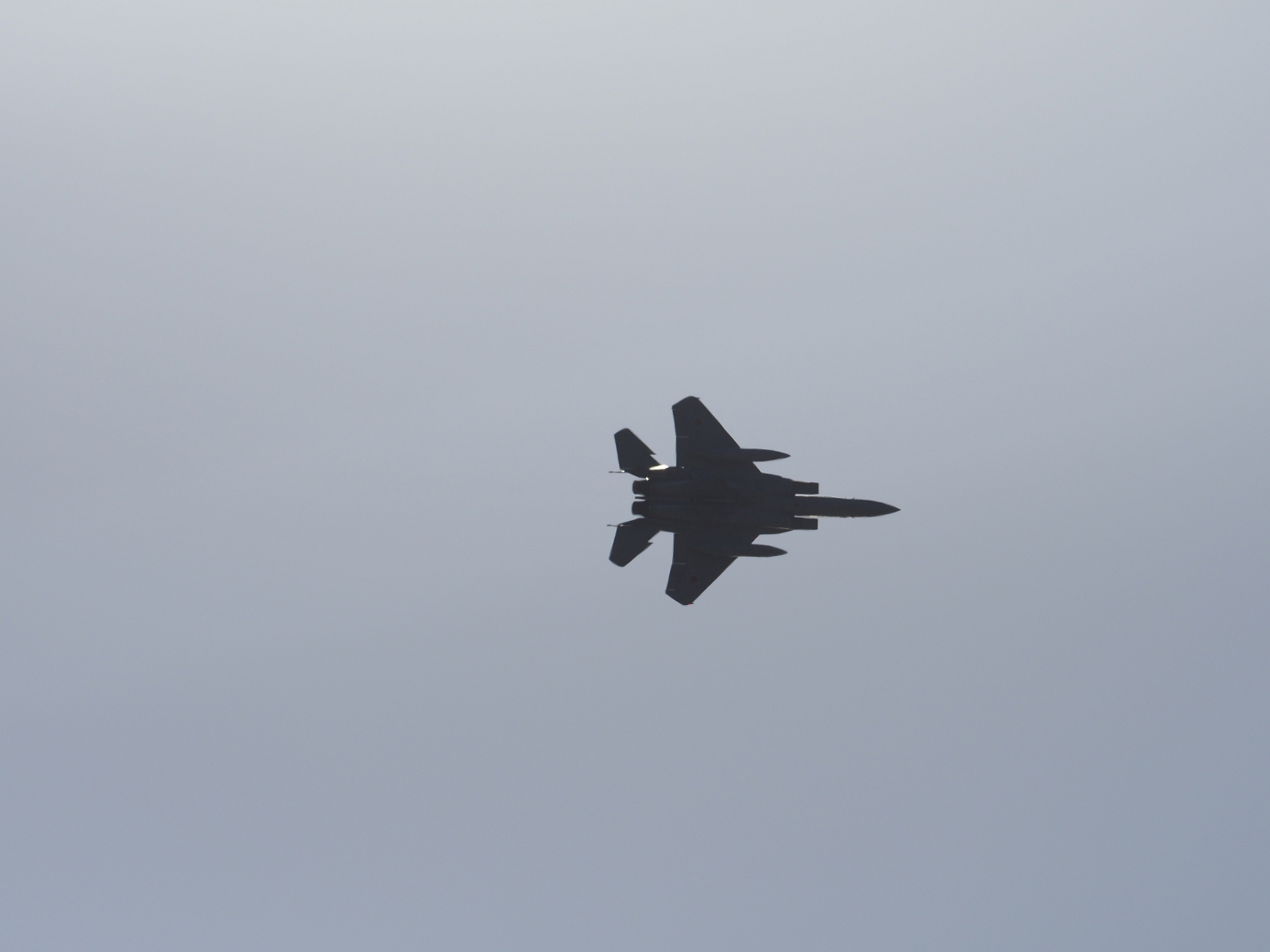 PC100383.jpg