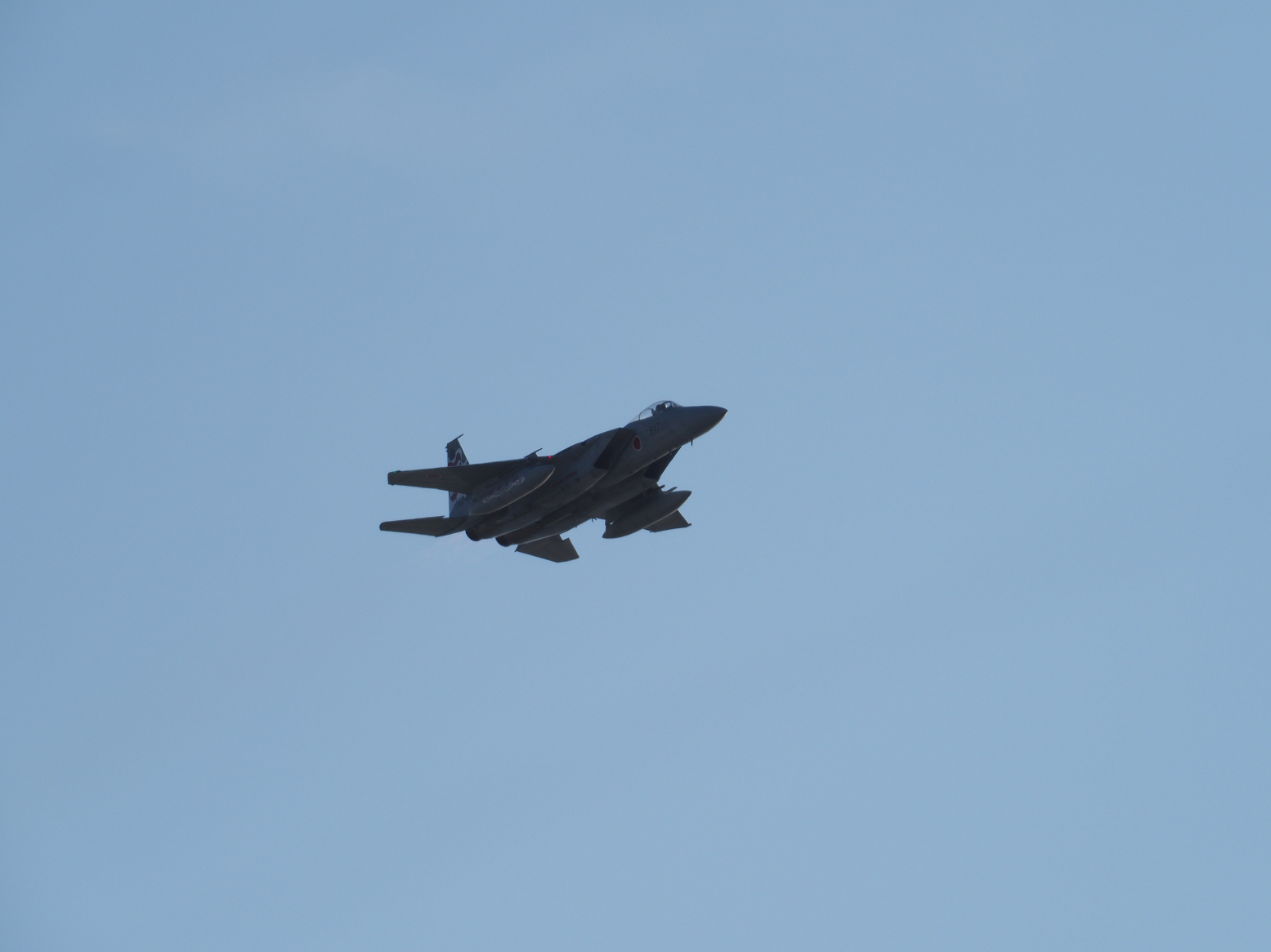 PC100504.jpg