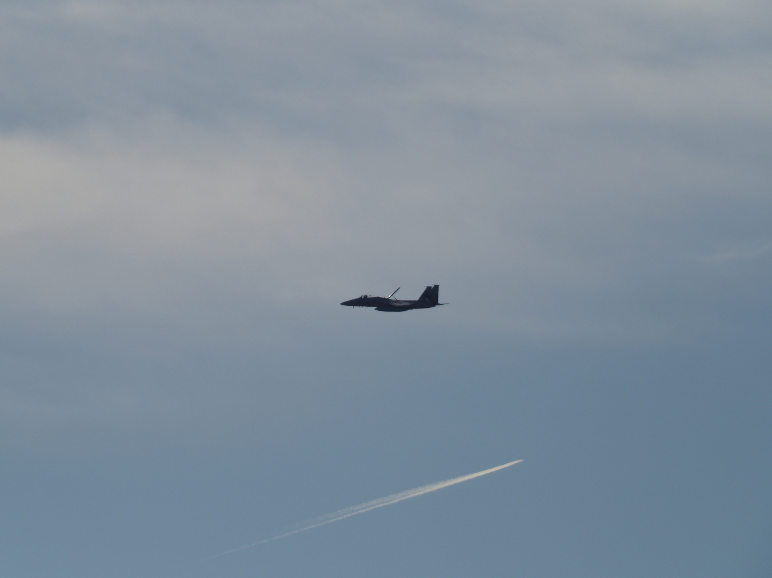 PC100555.jpg