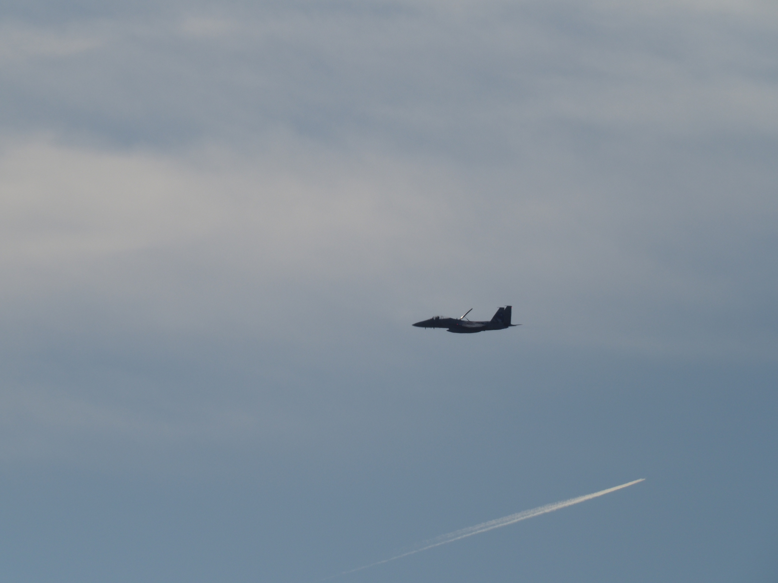 PC100556.jpg