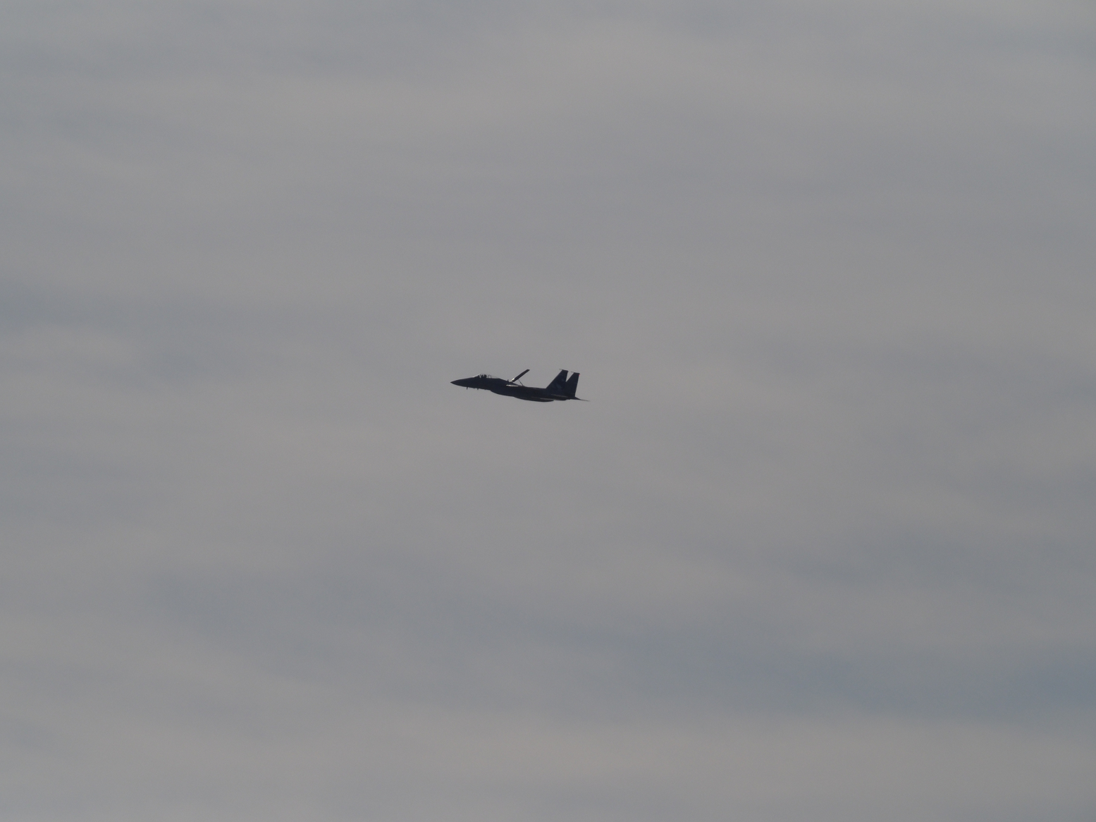 PC100566.jpg
