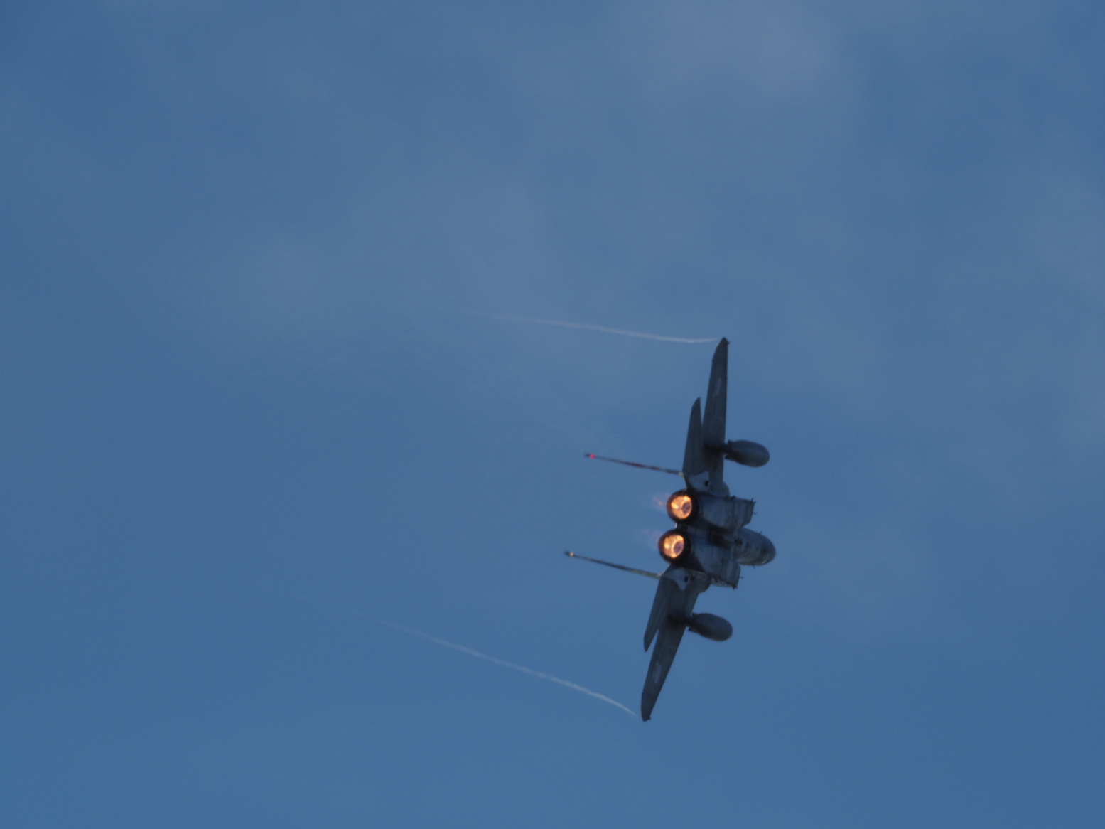 PC100631.jpg