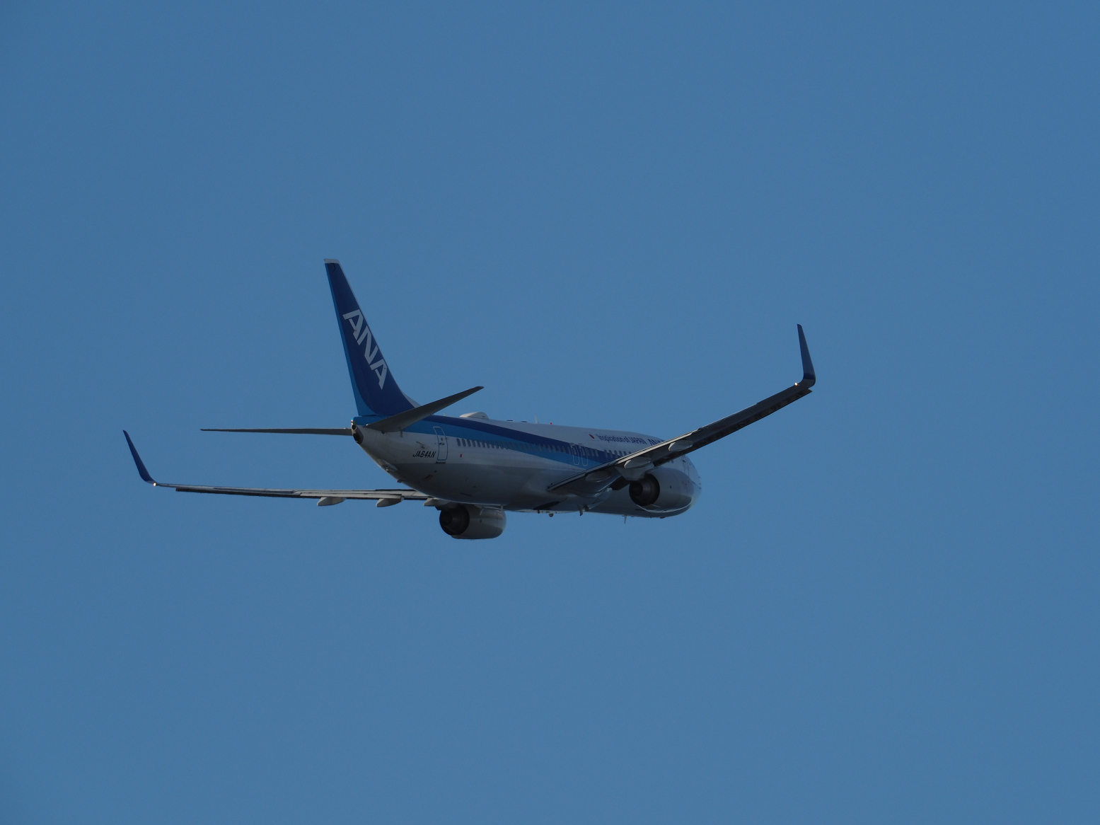 PC100784.jpg