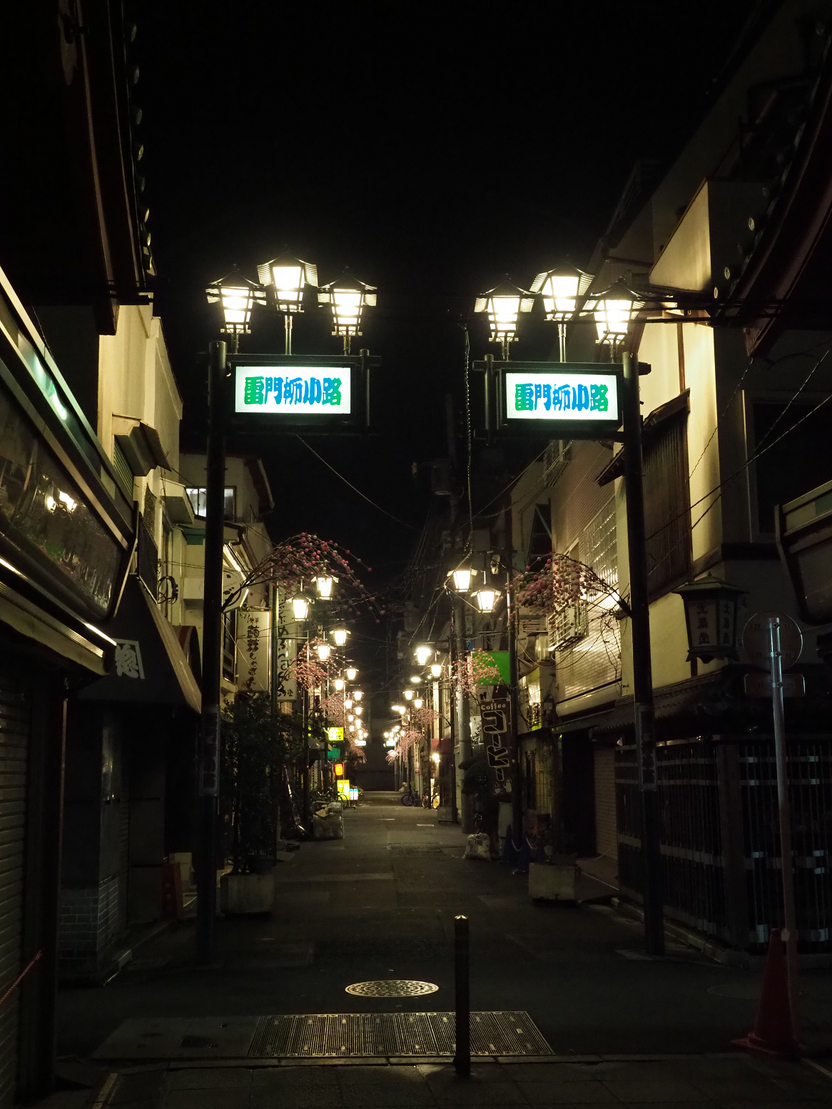 PC110982.jpg