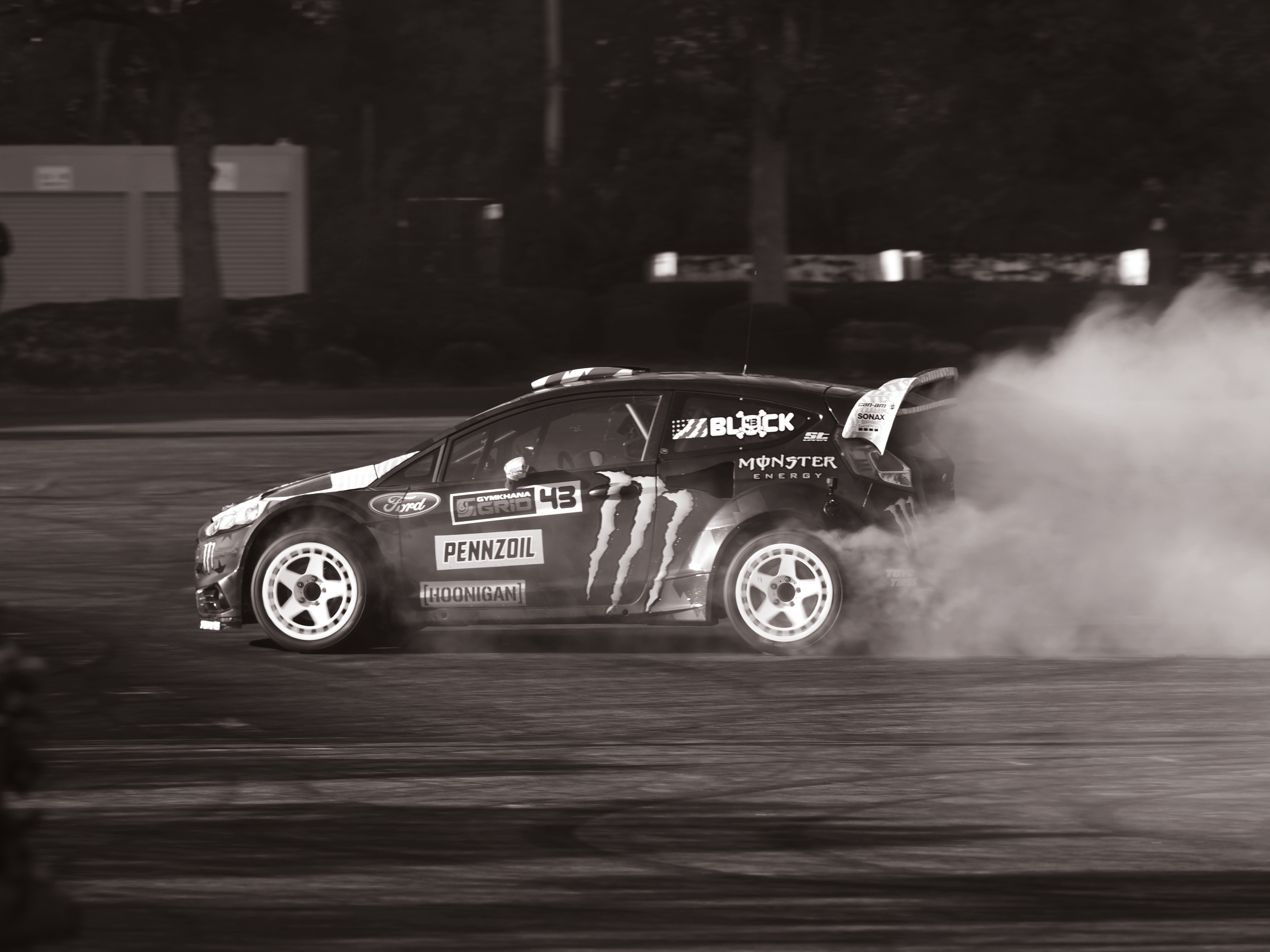 P1130527-.jpg
