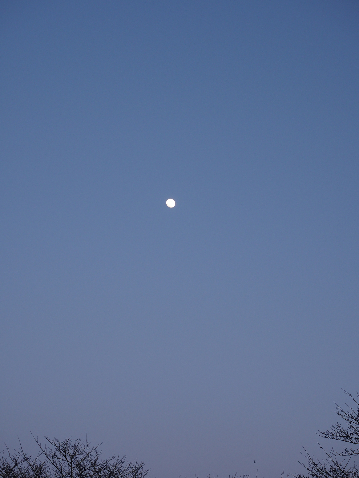 P1290003.jpg