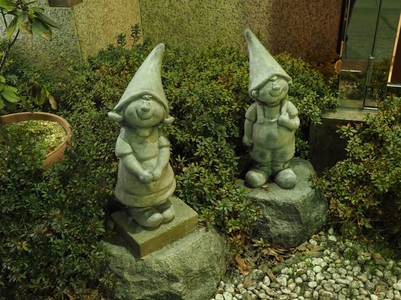 P2100168.jpg