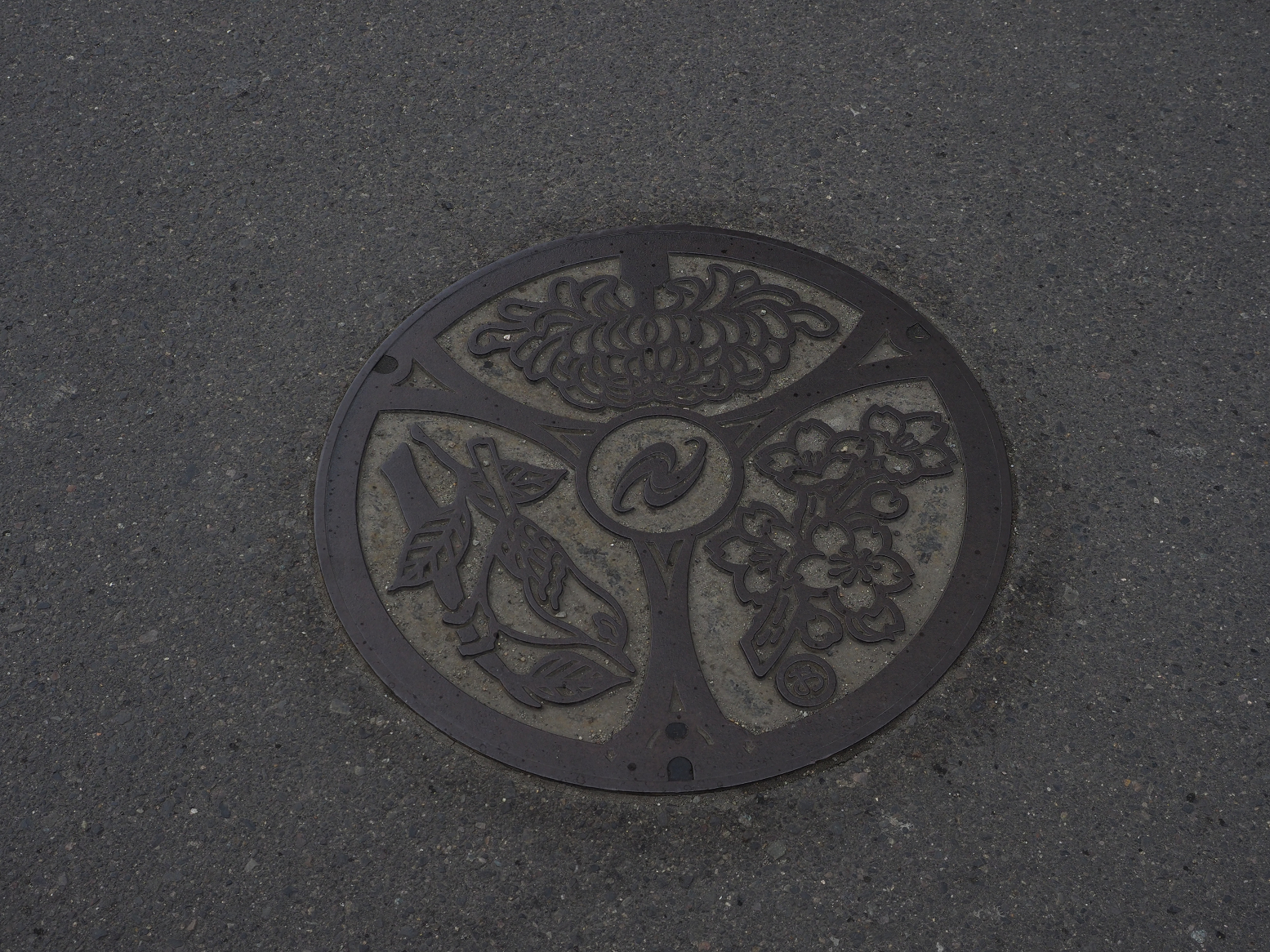P2110254.jpg