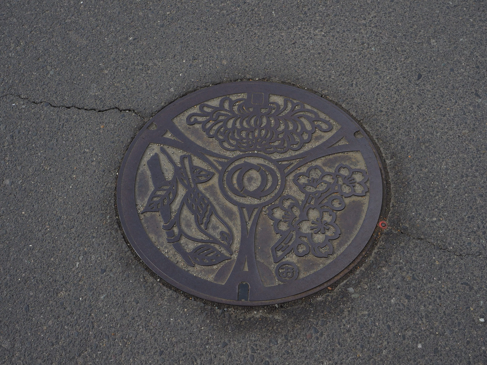 P2110263.jpg