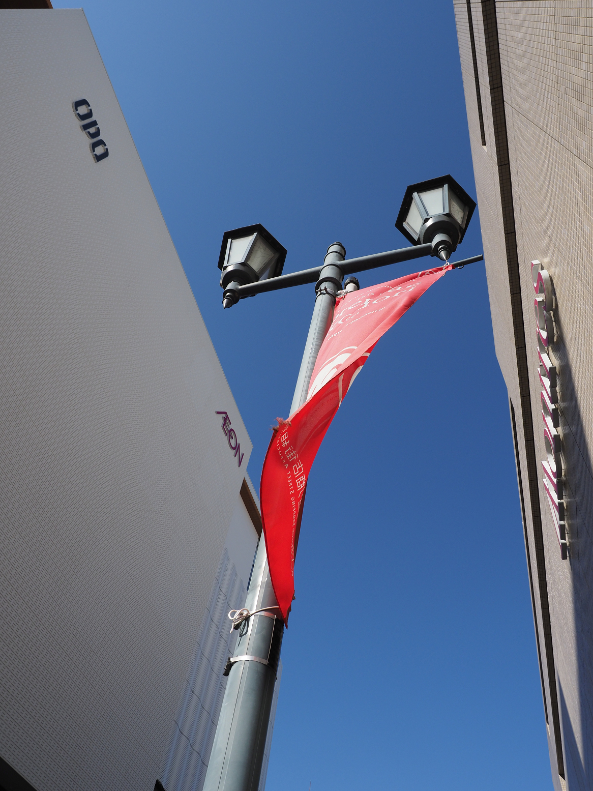 P2190123.jpg