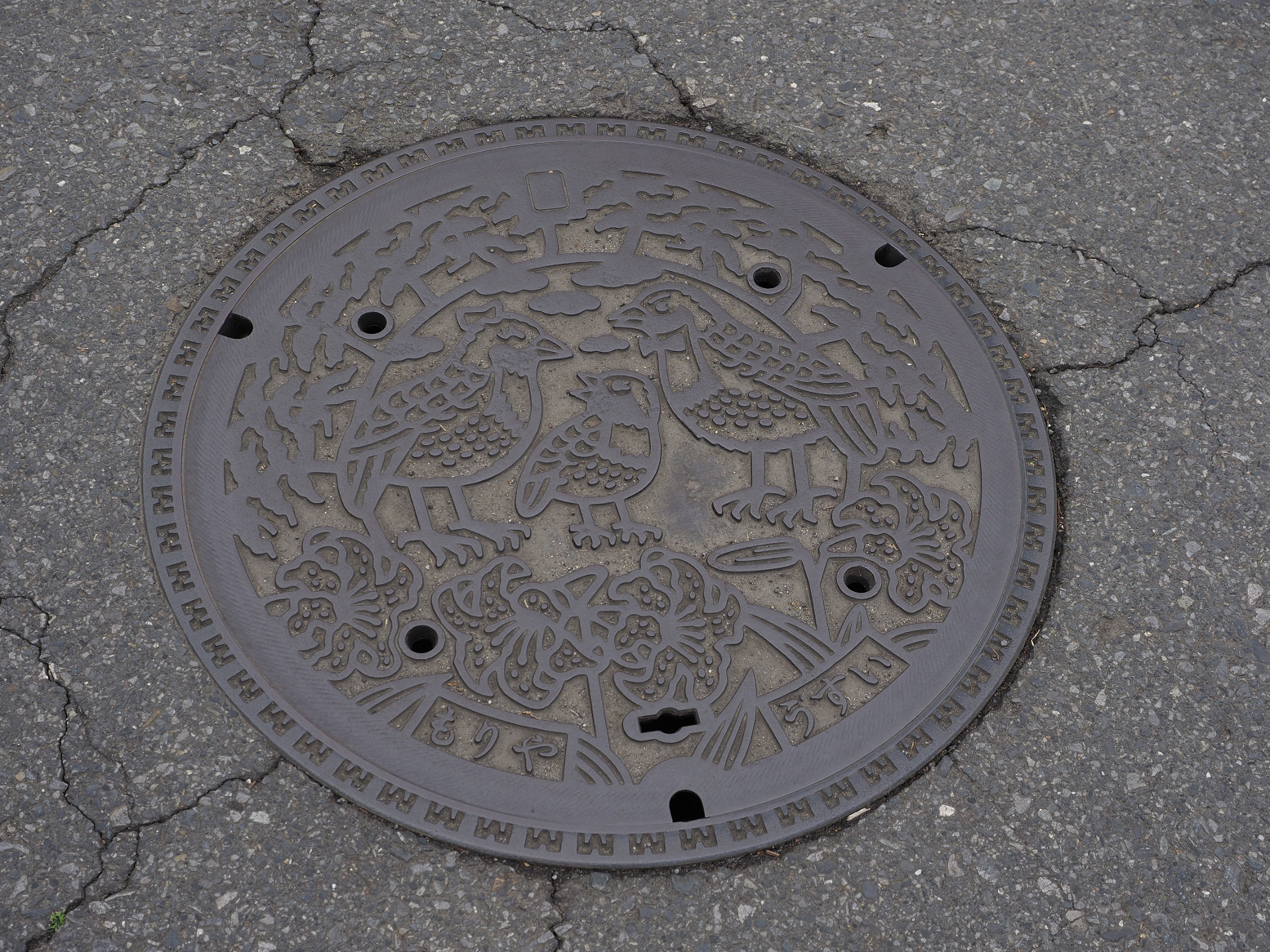 P2250145.jpg