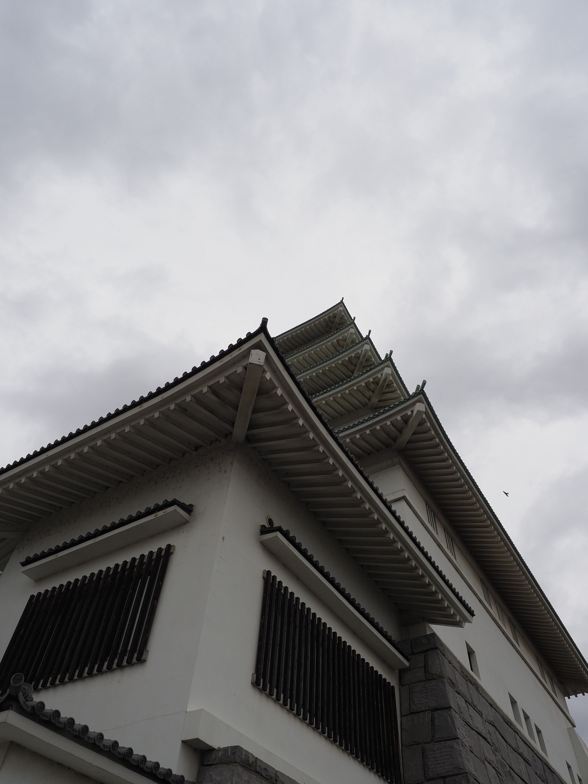 P2250152.jpg