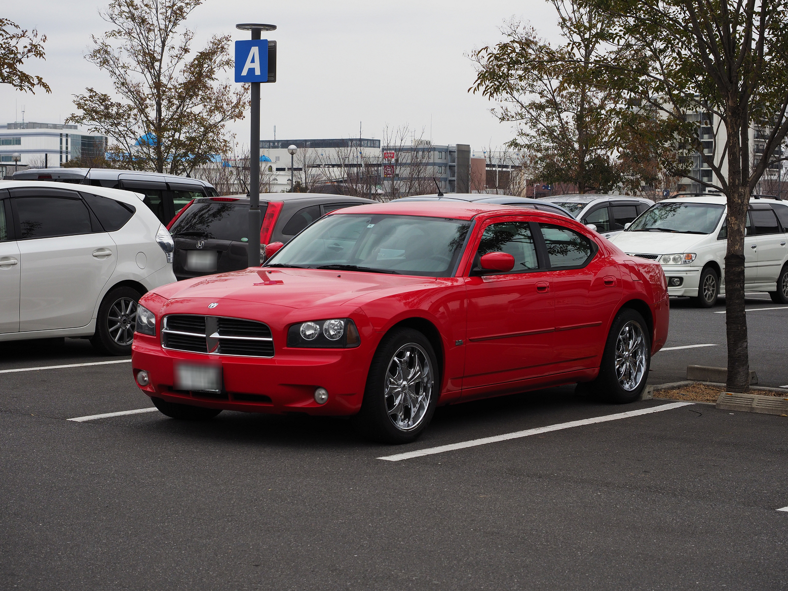 P2250156.jpg