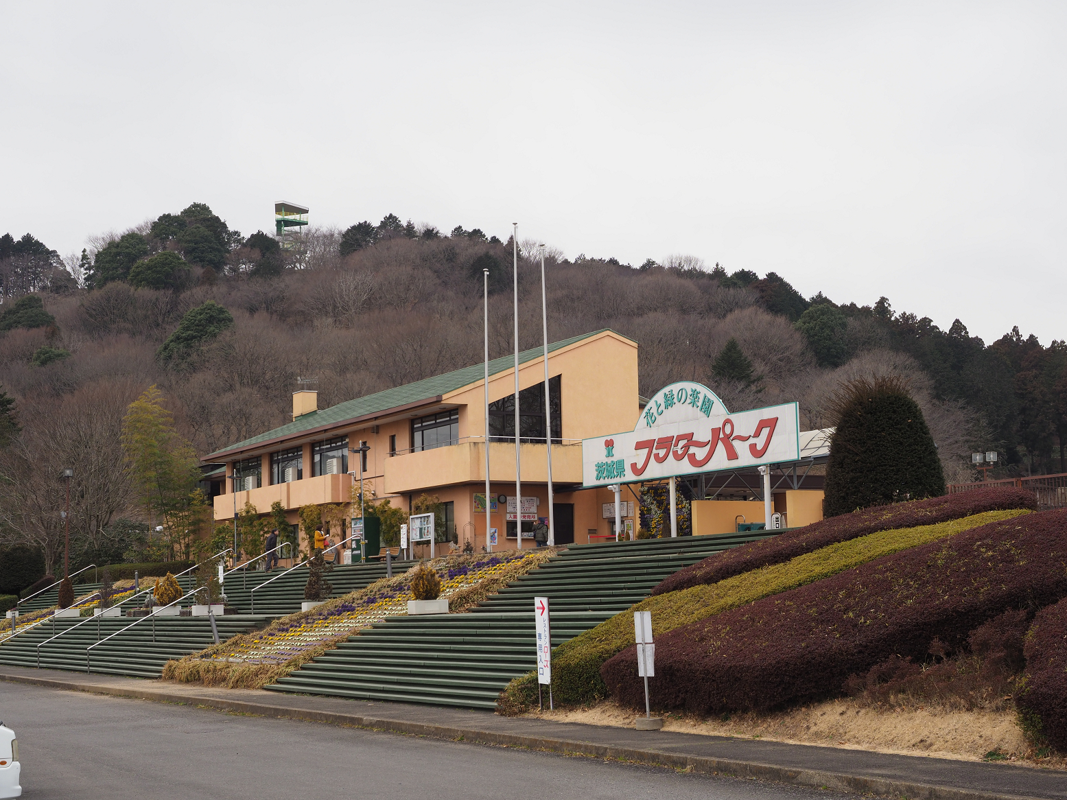 P2250166.jpg