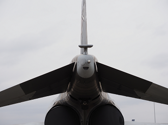 P2250205_thumb.png