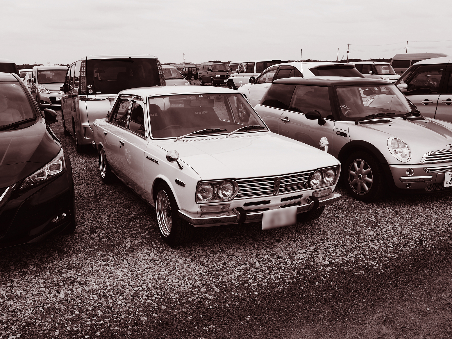 P2250215.jpg