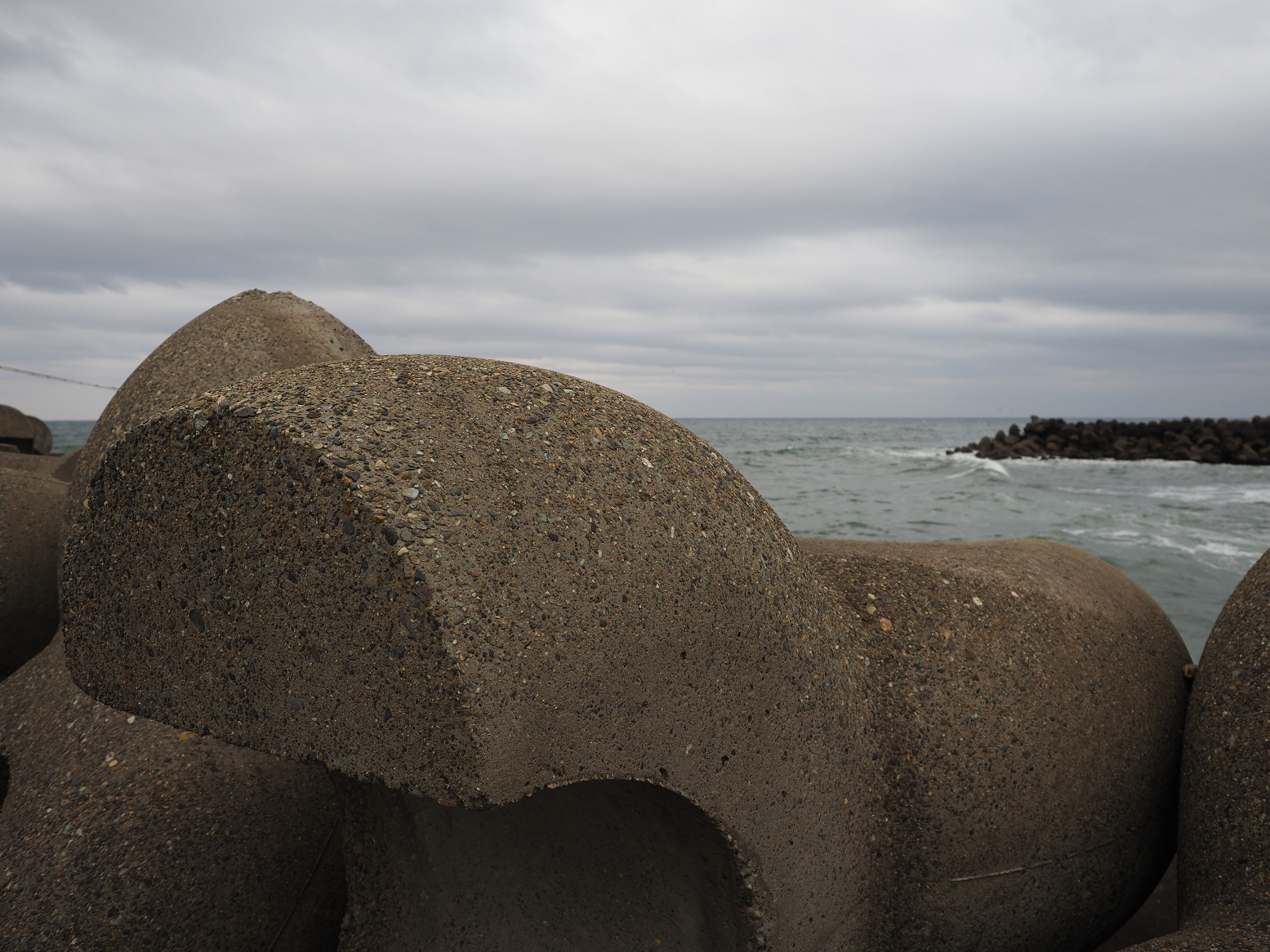 P2250301.jpg