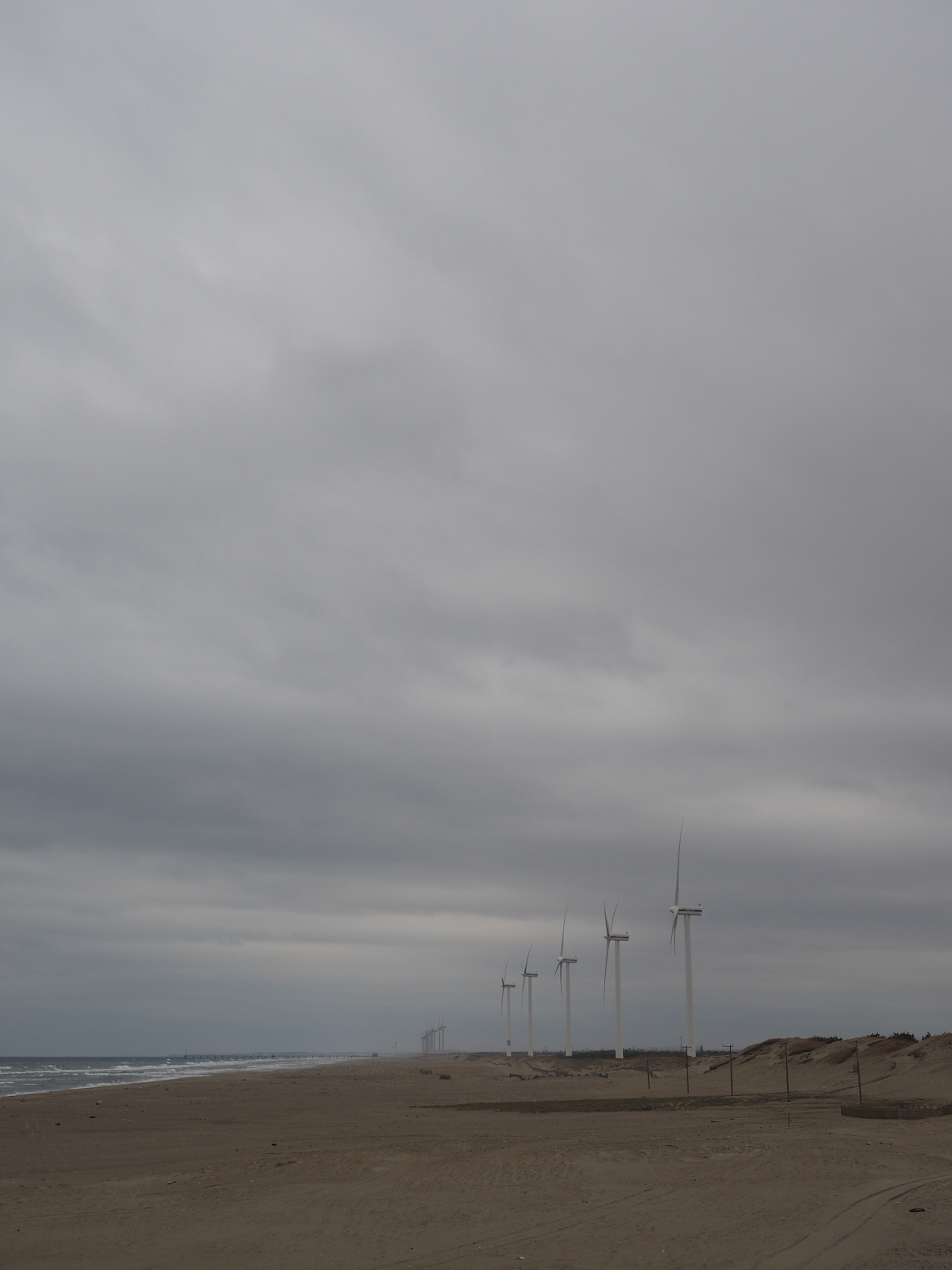 P2250343.jpg