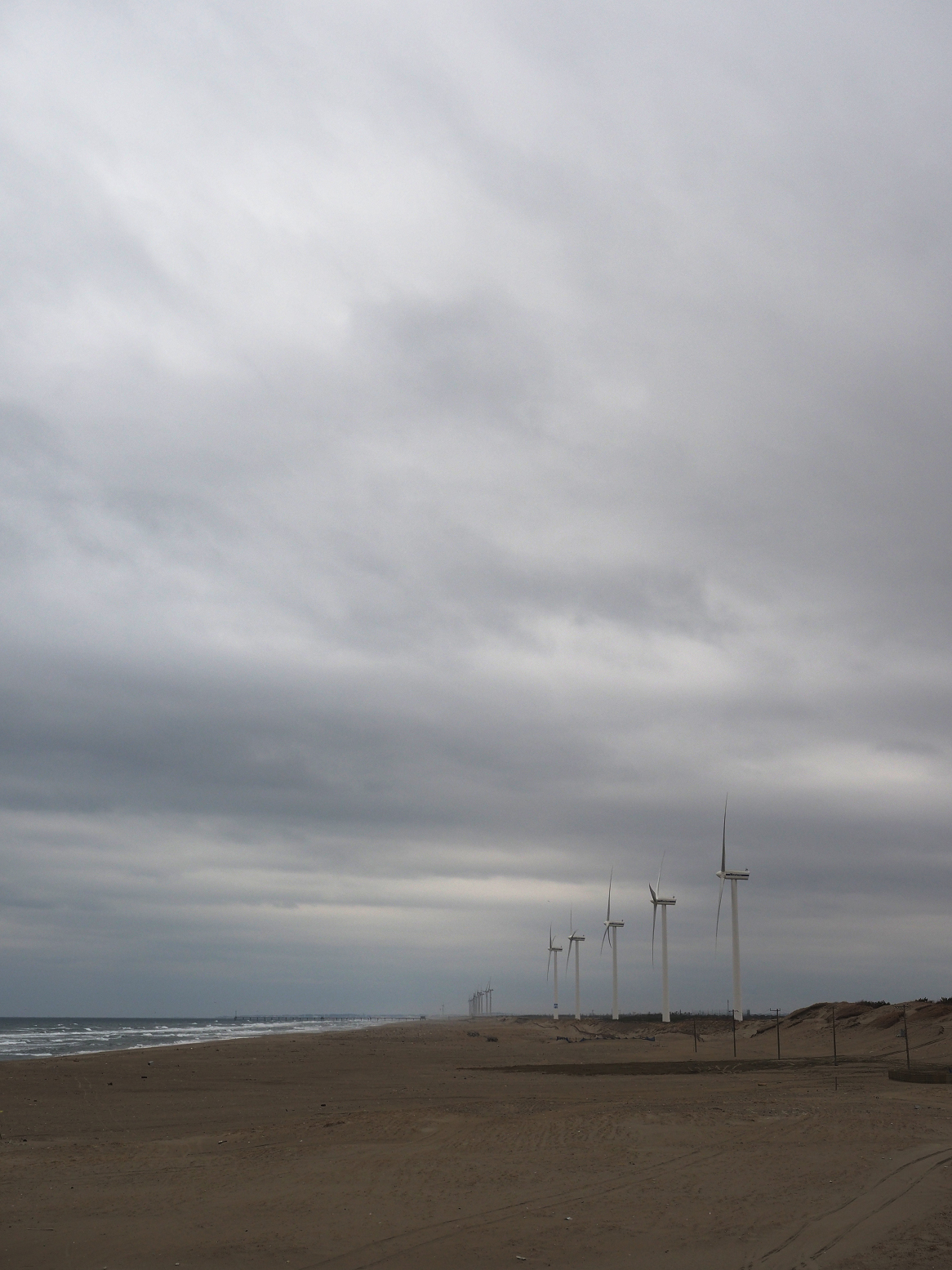 P2250344.jpg