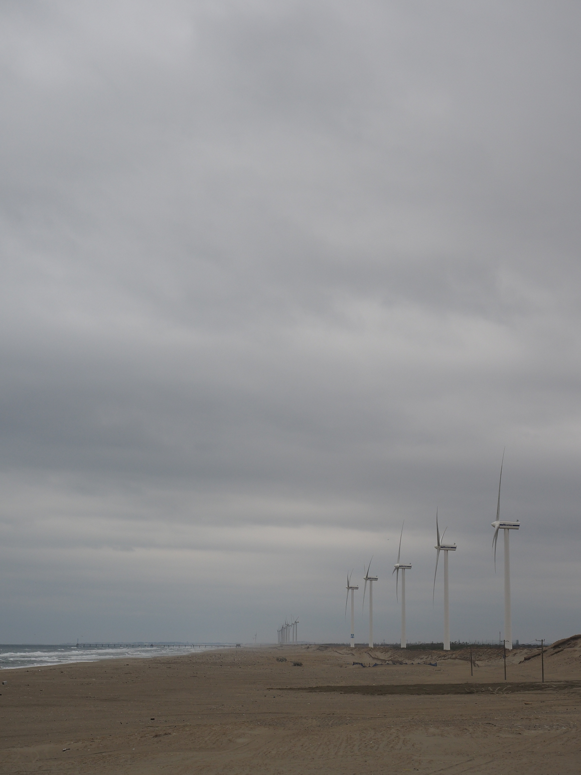 P2250345.jpg