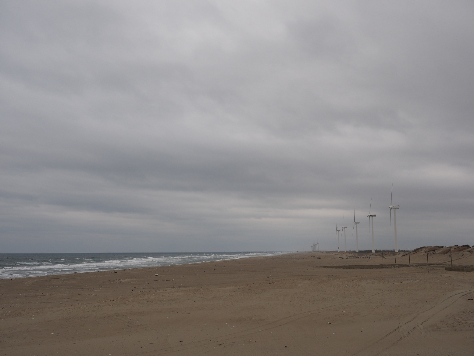 P2250346.jpg