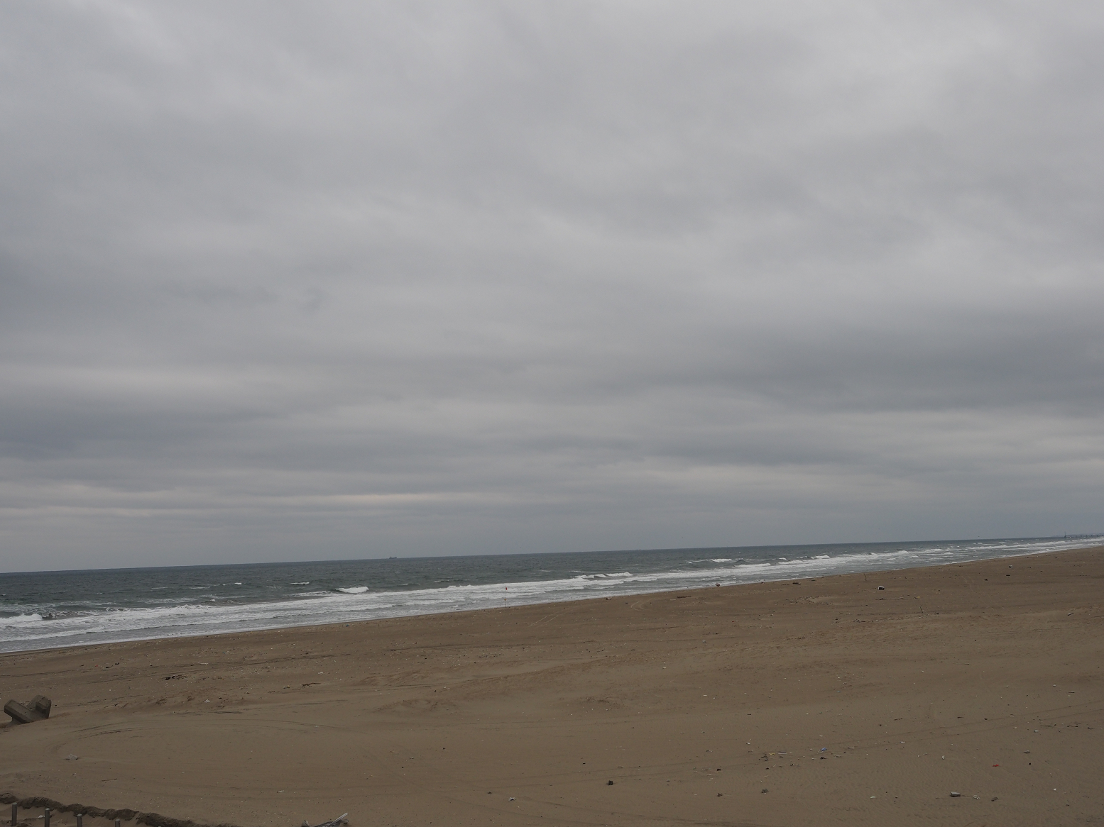 P2250347.jpg