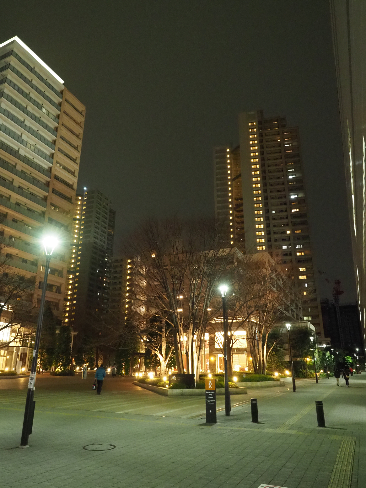 P2250405.jpg