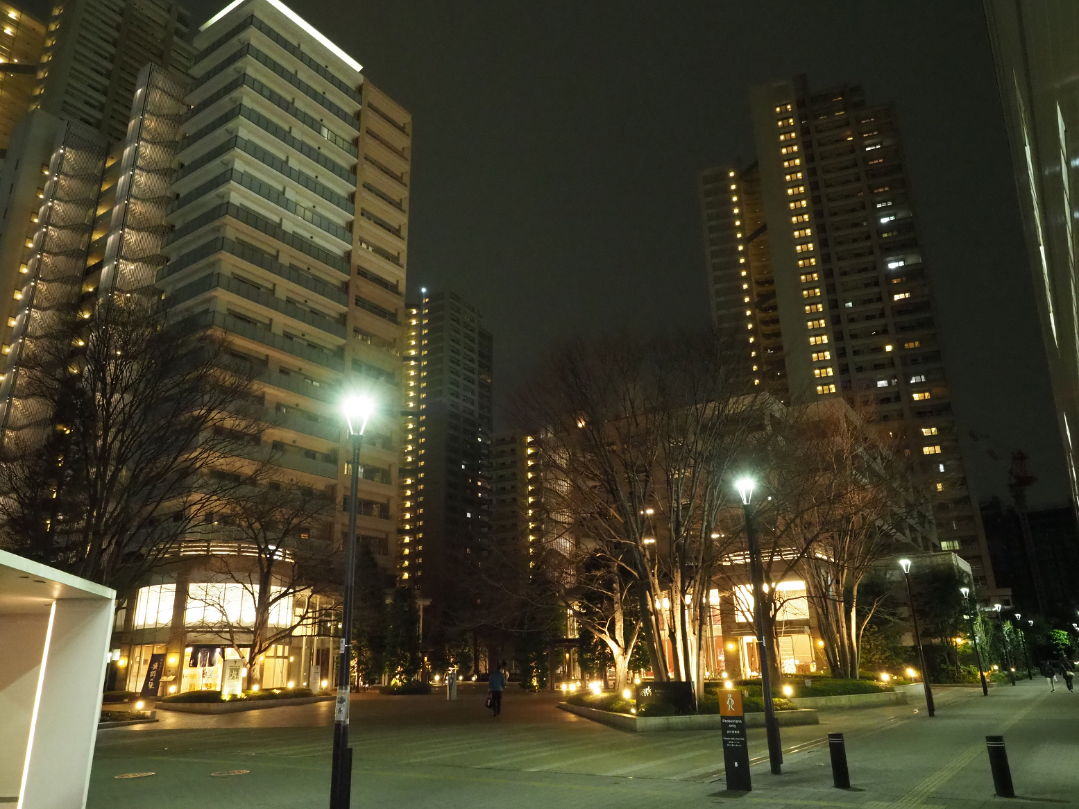 P2250406.jpg