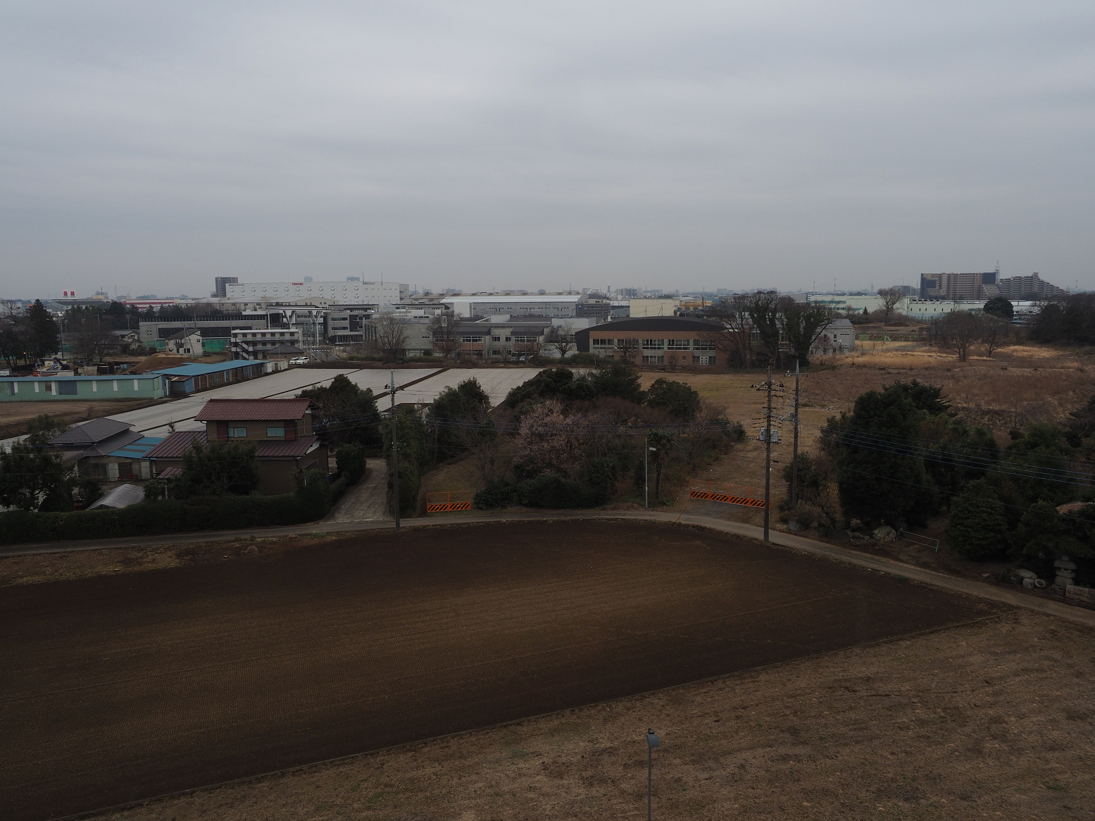 P2260437.jpg