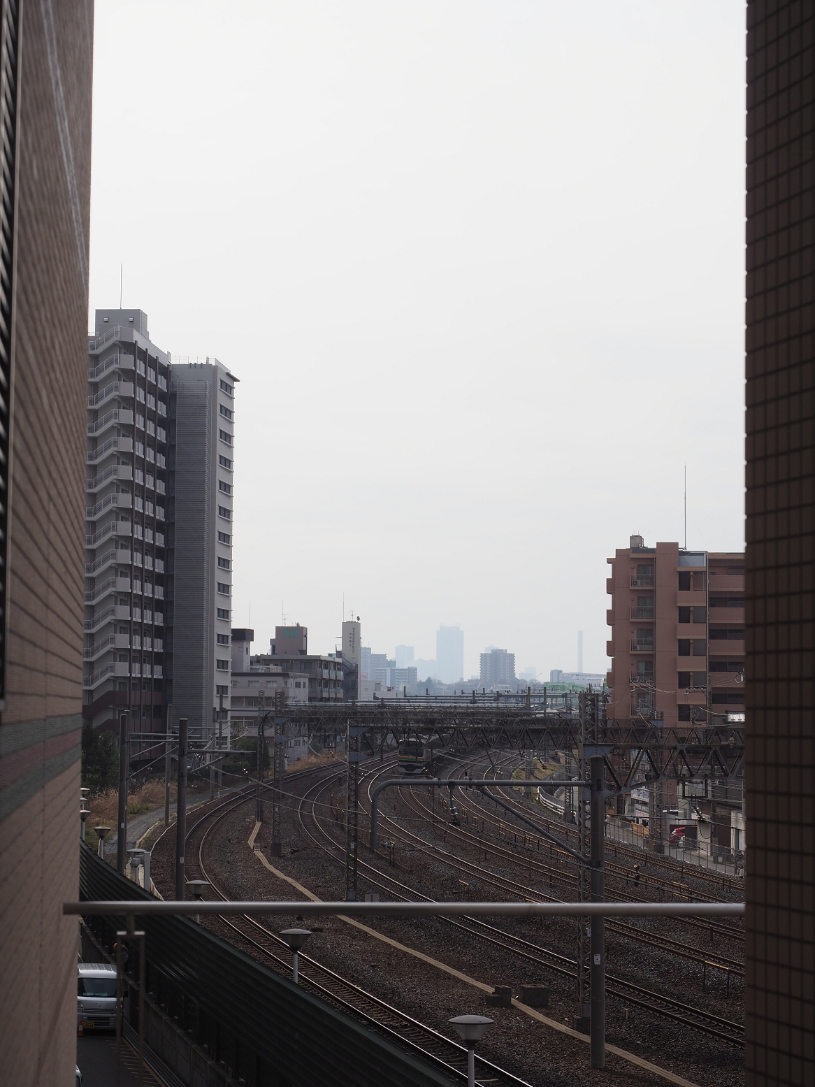 P2260461.jpg