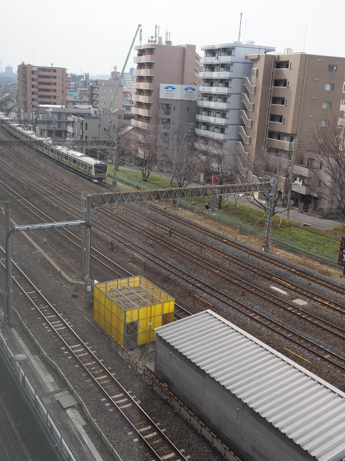 P2260472.jpg