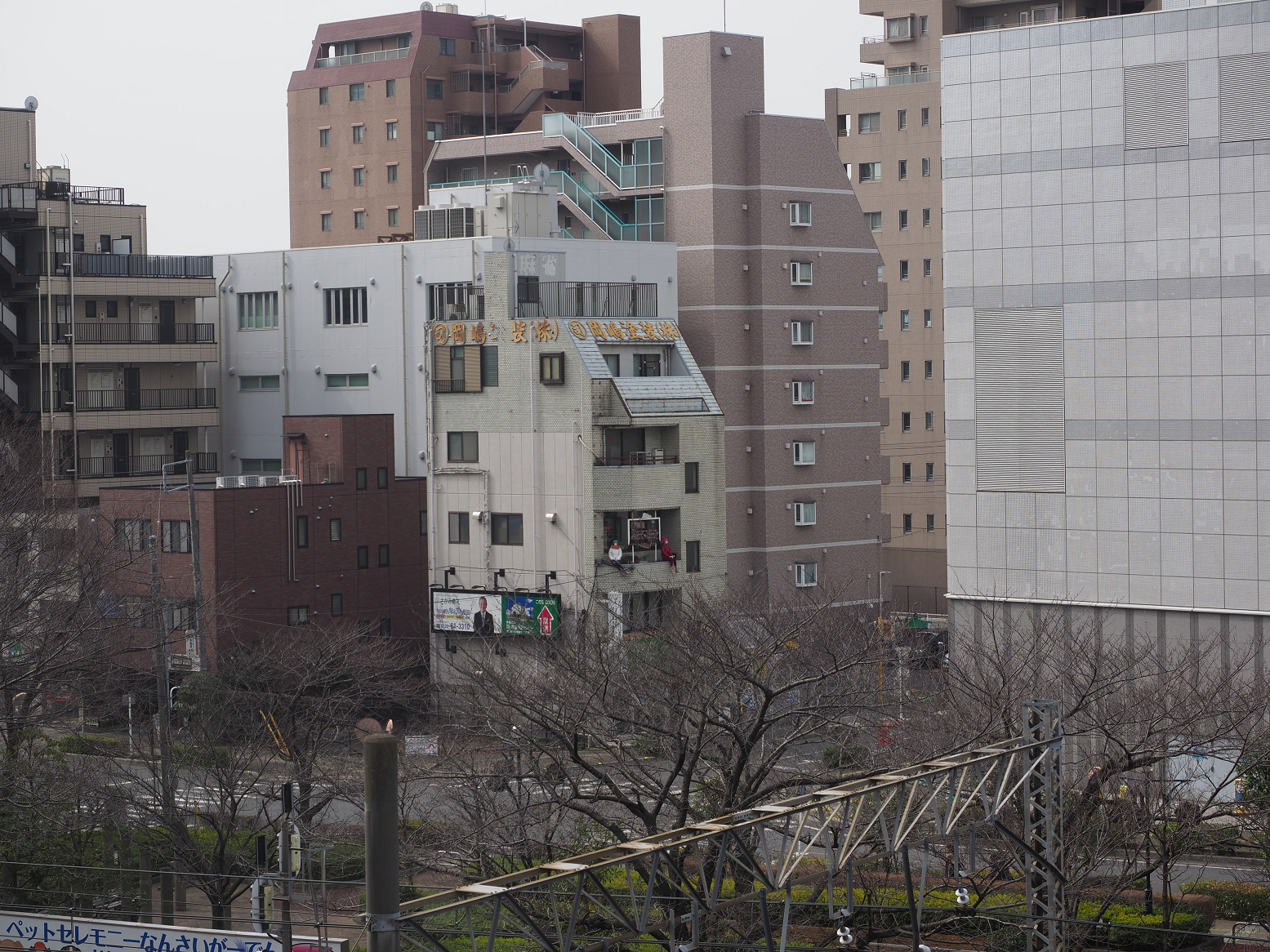 P2260476.jpg