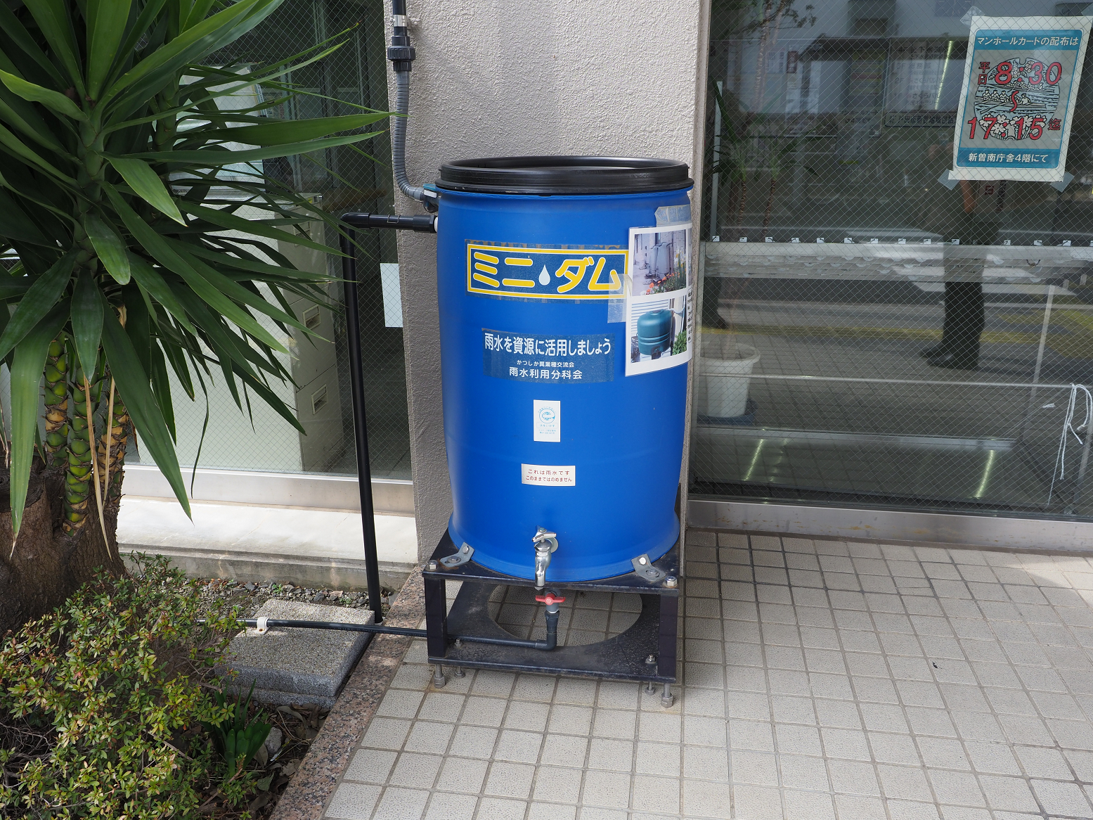 P2260490.jpg