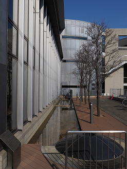 P2260555_thumb.png