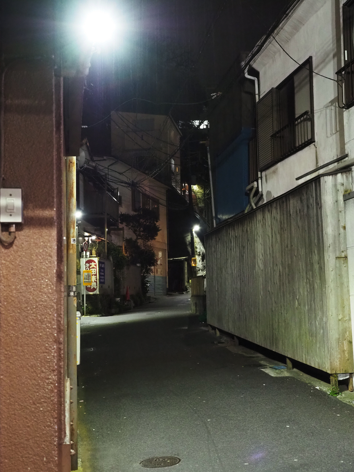 P3190068.jpg