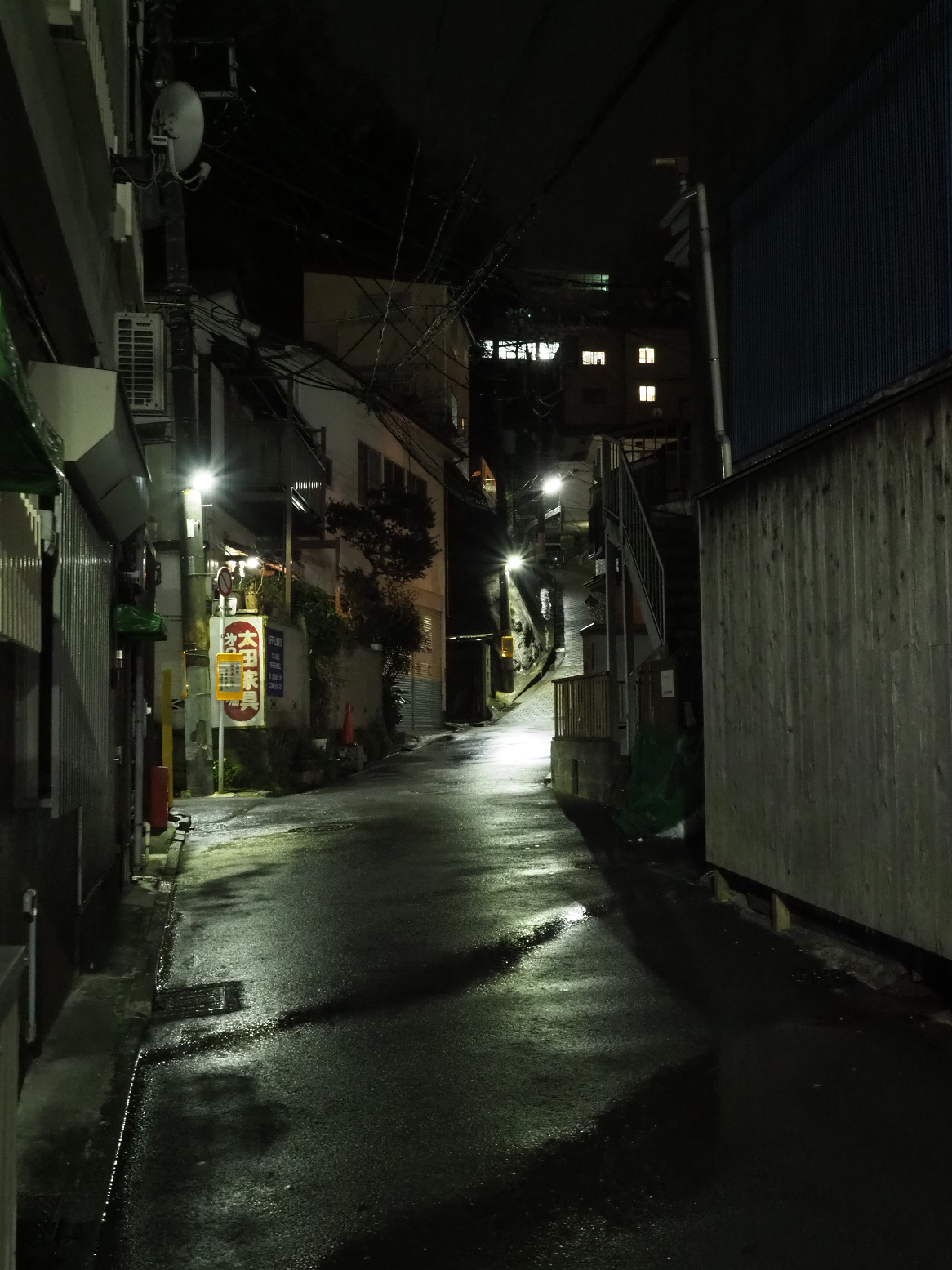 P3190130.jpg