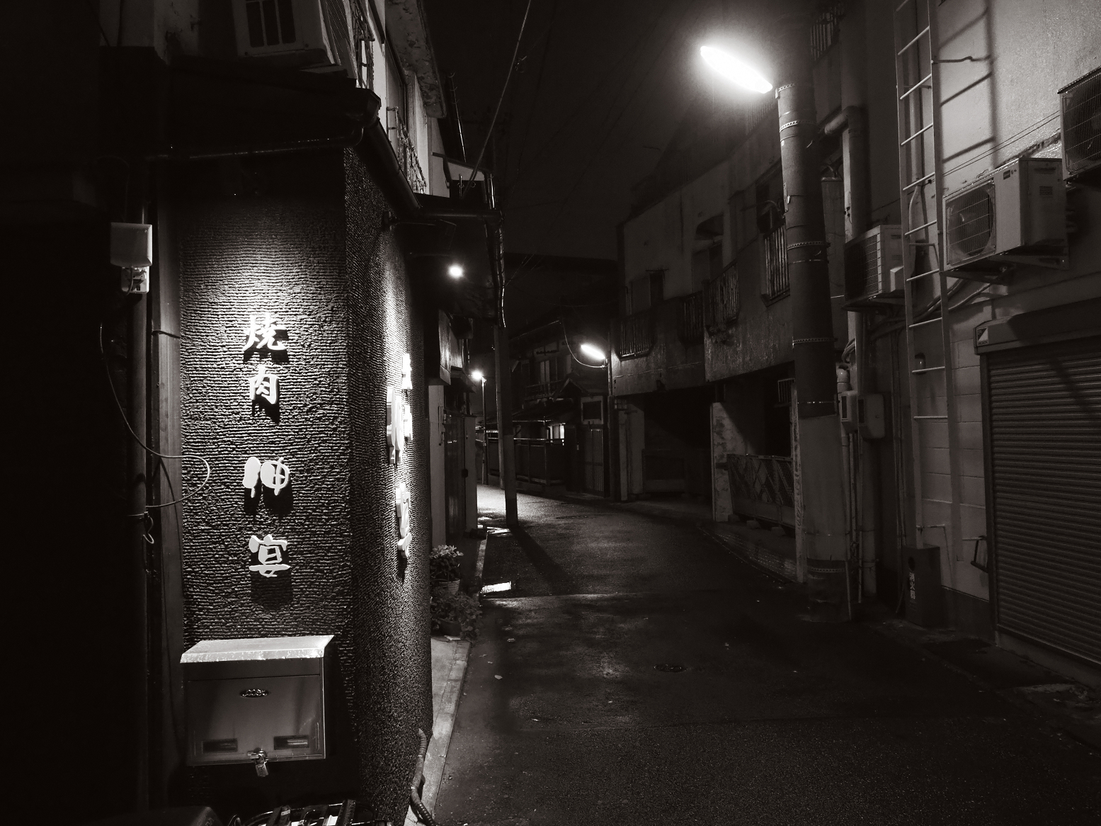 P3190140.jpg
